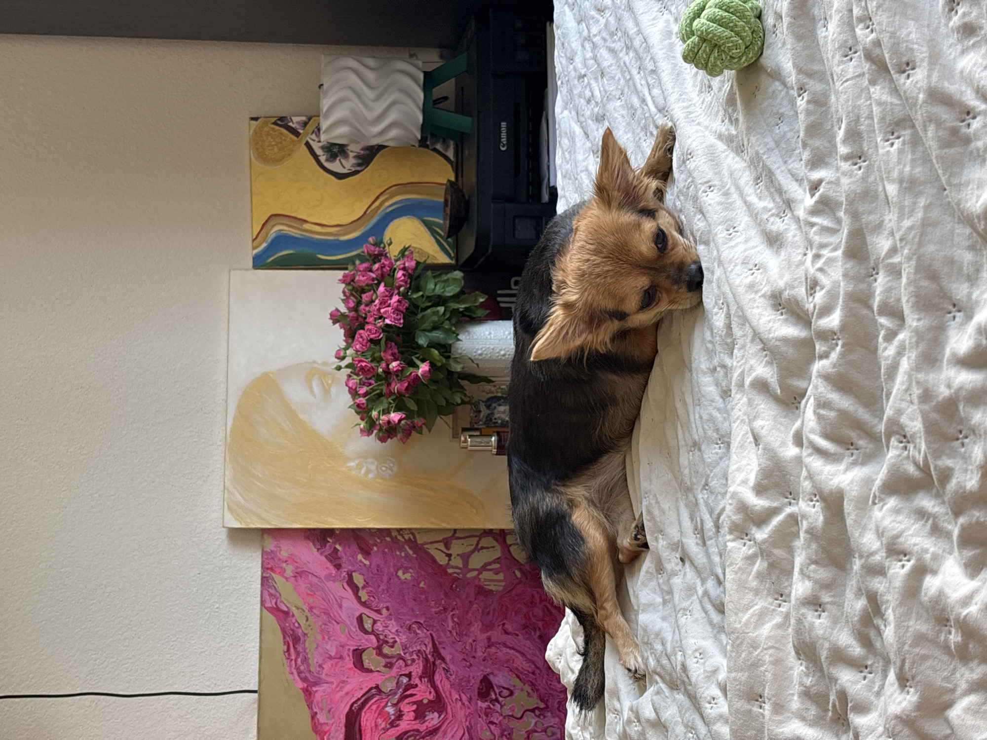 A small, tan and black dog lies on a white, textured bedspread. The dog's head is resting on the bedspread, and its eyes are partially closed. Behind the dog, on a wall, are several pieces of art. The artwork on the left is abstract with pink and purple swirls. In the center, there is a painting of a woman's face in profile, rendered in gold tones, with a bouquet of small pink roses in a white vase placed in front of it. To the right of that, there is a yellow painting with blue and red wavy lines. Further to the right, a white, wavy object is displayed on a small green easel, and behind it is a black printer. A green, rope toy is visible on the bedspread to the right of the dog. The scene is indoors, with a plain, textured wall as the backdrop. There is no indication that this image is located in the city of Sochi, Russia.