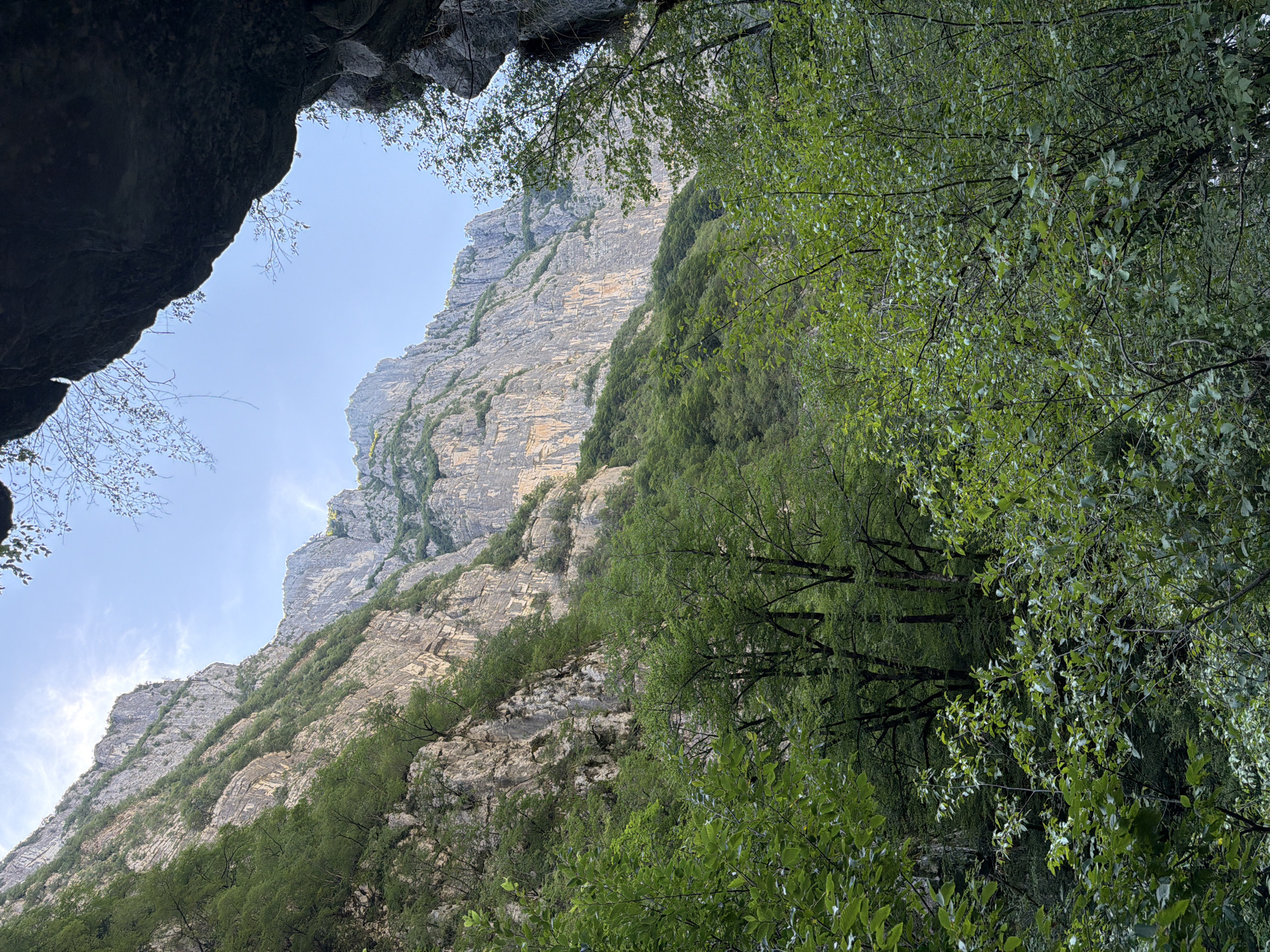 The image depicts a view from within a rocky overhang, looking out towards a steep mountain range in Lazba, Montenegro. Dense green foliage fills the foreground, obscuring the lower portions of the mountains. The mountains themselves are characterized by sheer, striated rock faces, with patches of greenery clinging to ledges and crevices. The sky above is a pale blue with wispy clouds. The overall impression is one of a remote and rugged natural landscape.