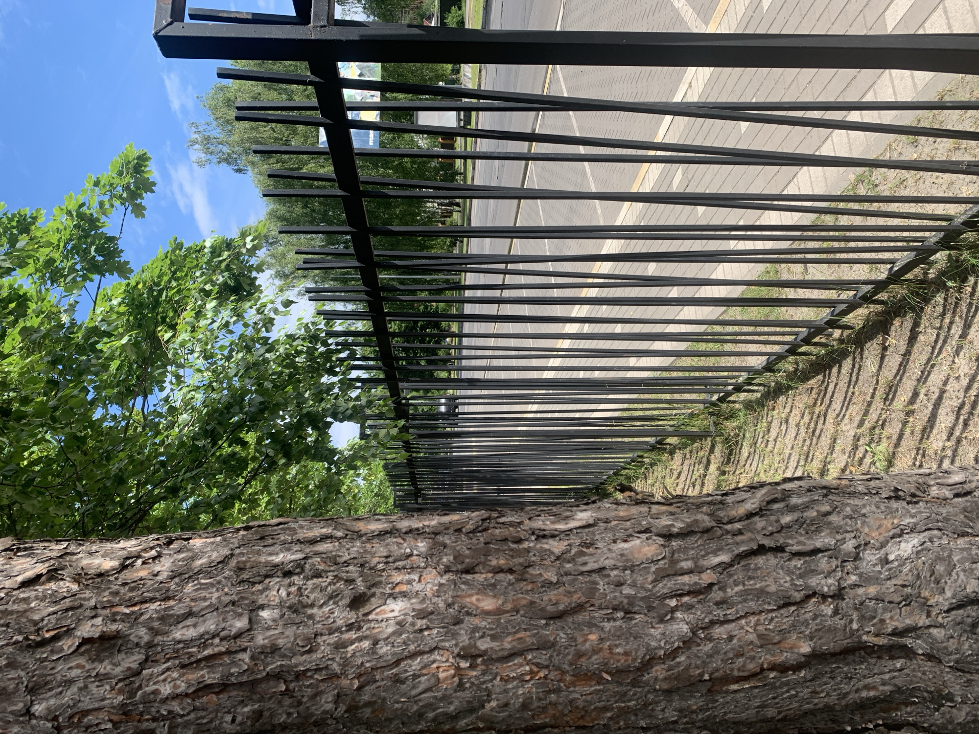 The image depicts a street scene in Hostomel, Ukraine, on a sunny day. In the foreground, the textured bark of a large tree trunk dominates the left side of the frame. Beyond the tree, a black metal fence runs parallel to a paved sidewalk and a road. The fence is composed of slender, vertical metal bars. Green foliage from trees is visible above the fence and in the background. The sky is blue with scattered white clouds. The road appears to be asphalt with painted lane markings. There are no people visible in the image, and the scene is calm and uneventful.