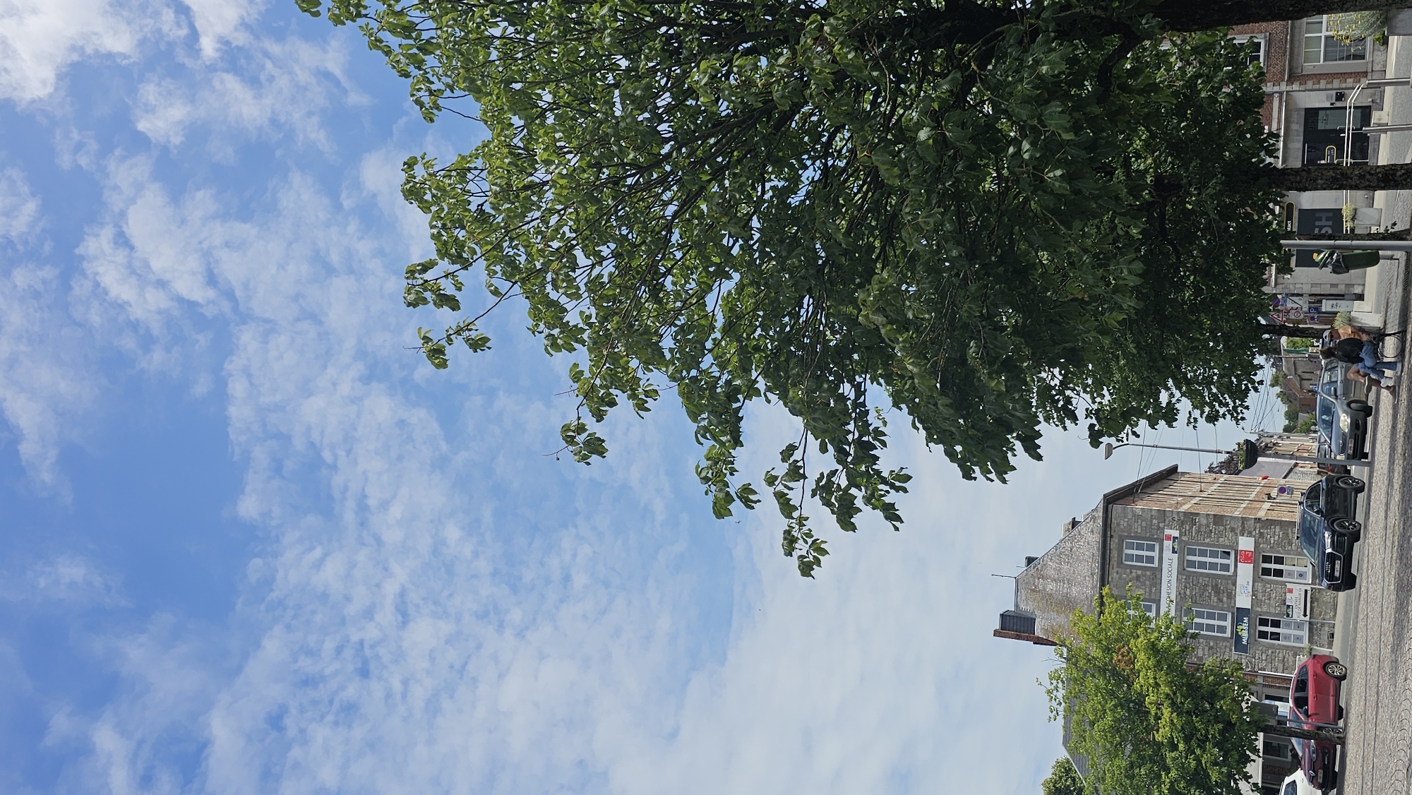 The image shows a street scene in Philippeville, Belgium. A large tree with green foliage dominates the right side of the frame, partially obscuring a cloudy blue sky. In the background, a multi-story stone building with gray roofing features several windows and signage, including "COHESION SOCIALE" and "METSEM". Several cars are parked and driving on the street, including a red hatchback, a black SUV, and a silver station wagon. Two people are seated on a bench to the right of the frame. The street is paved with cobblestones.