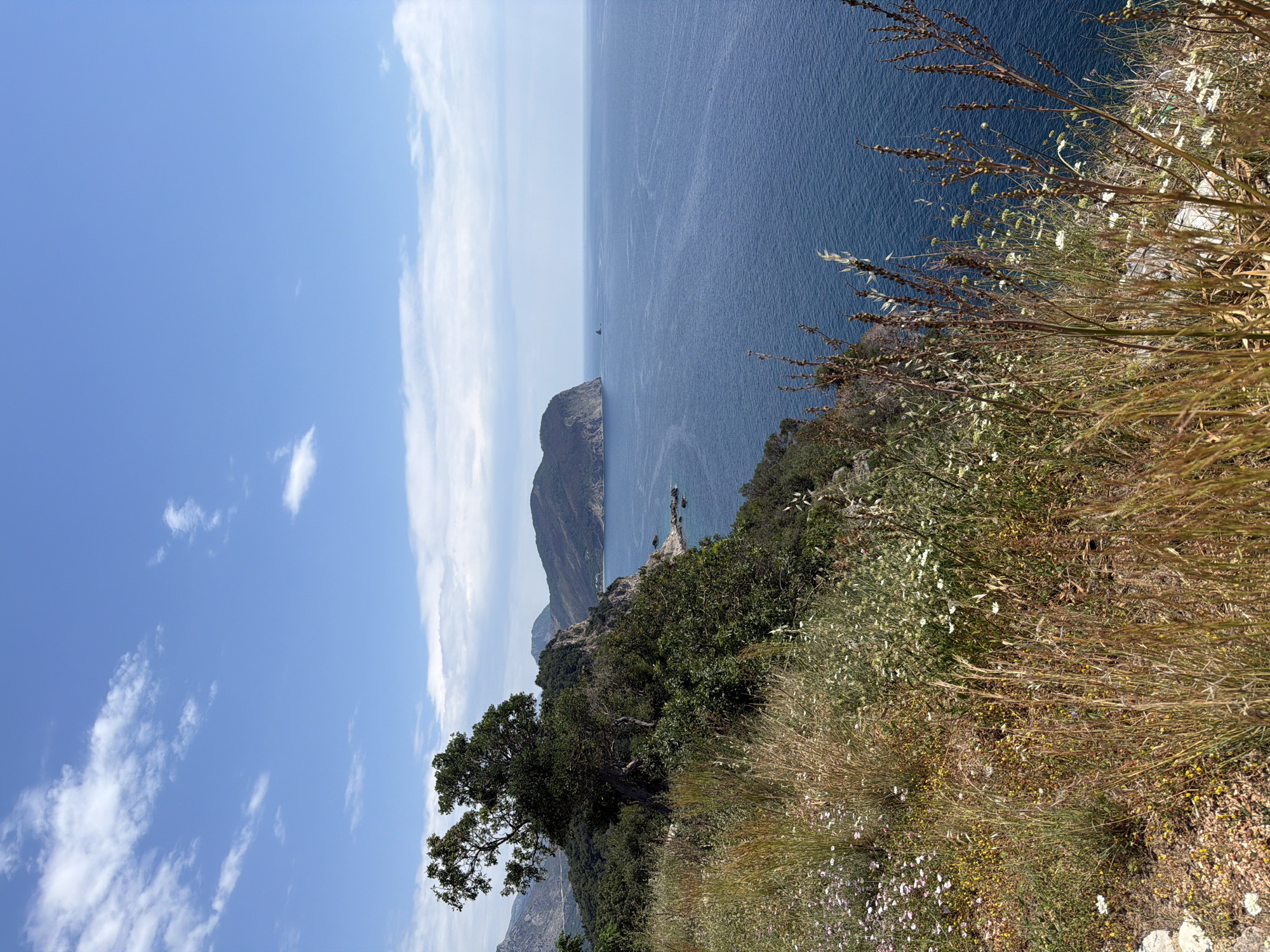 The image depicts a coastal landscape in Petrovac na Moru, Montenegro. A mountain ridge projects into the Adriatic Sea. The scene is viewed from a cliff with dry grass and wildflowers. The sky is partly cloudy.