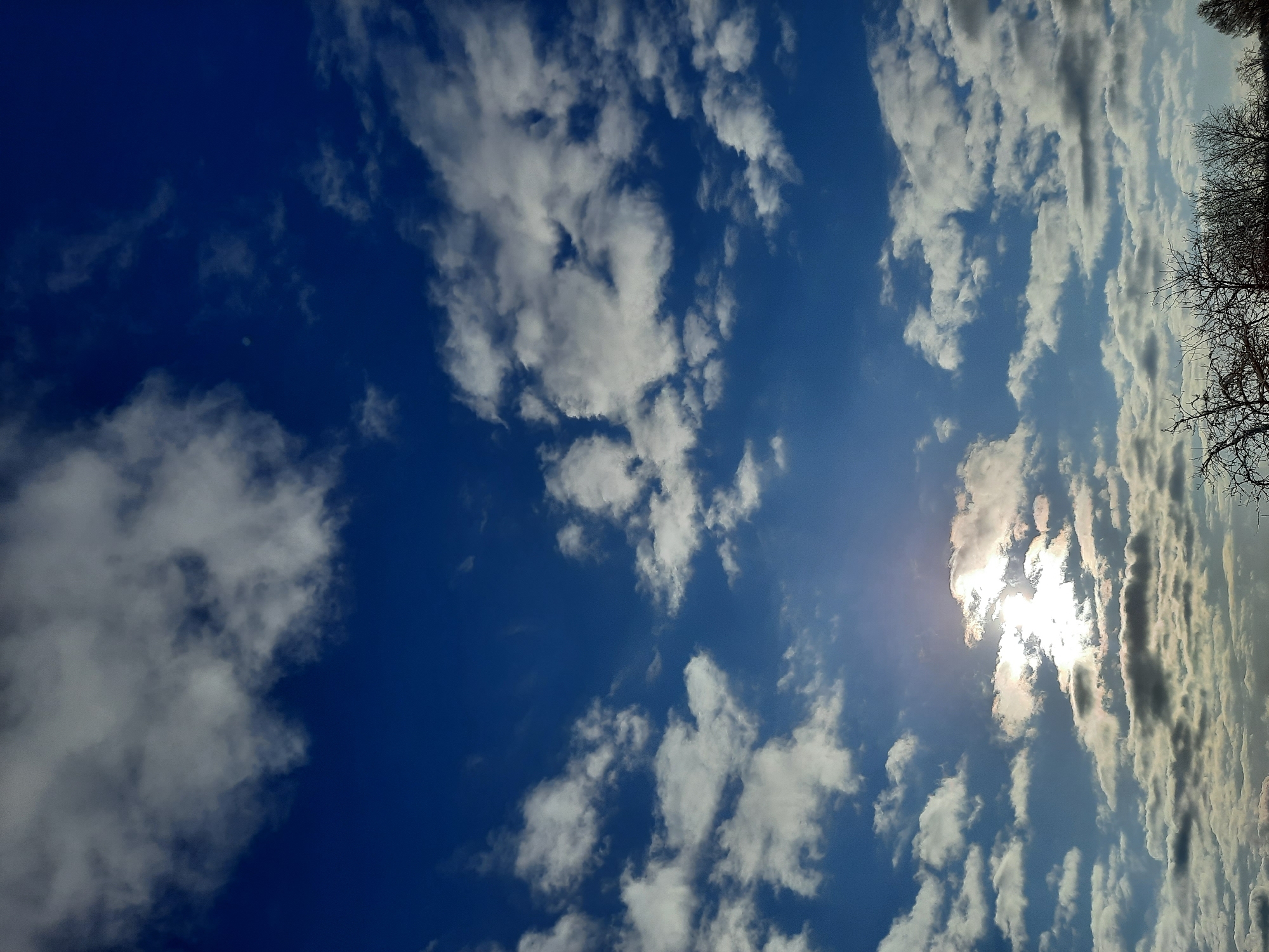 The image captures a daytime sky with a mix of cumulus clouds and patches of deep blue. The sun is partially obscured by a thick band of clouds near the horizon, creating a bright glare. Bare tree branches are visible in the upper right corner. There is no evidence to confirm the location is Krasnogorskoye, Russia.