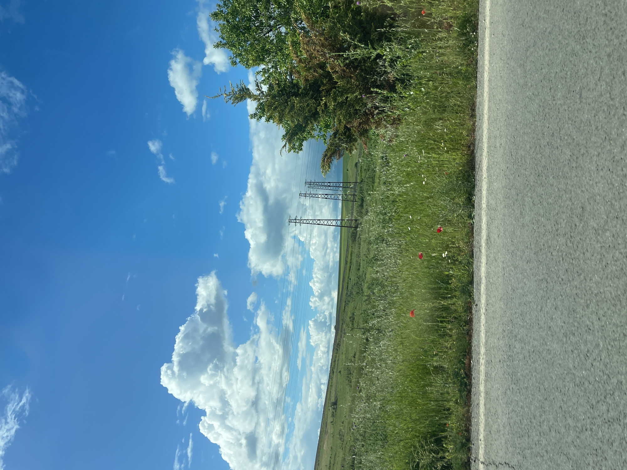 Bolyarovo, Bulgaria: An asphalt road occupies the right of the frame, adjacent to a grassy verge dotted with wildflowers, including red poppies. Beyond the verge, a gently sloping field rises towards power lines against a backdrop of a partly cloudy blue sky. A tree is visible on the right. The scene depicts a rural landscape.