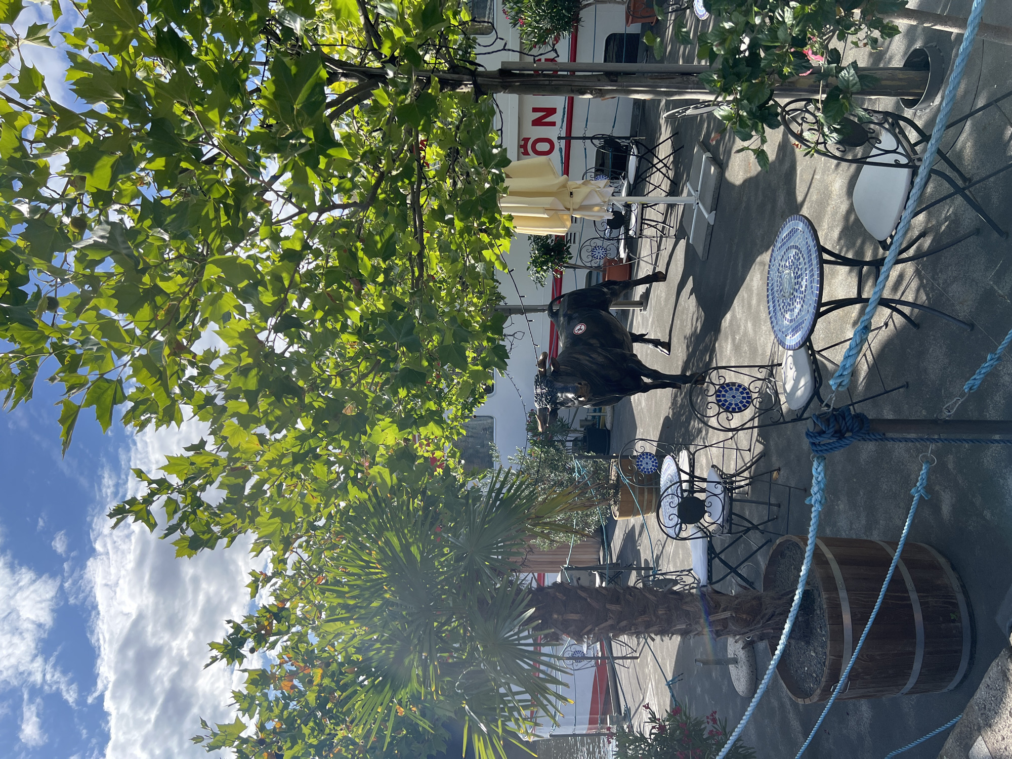 This is a vertical, outdoor, eye-level shot of a patio with tables and chairs, a statue of a bull, and lush greenery. The scene appears to be set in a restaurant or cafe, with several small tables and chairs arranged on a concrete patio. Some tables have mosaic tops, and others have white tablecloths. A large wooden barrel is visible on the right, serving as a planter. A statue of a bull stands prominently in the middle of the scene. Lush green trees and a palm tree provide shade and a tropical feel. In the background, a white building with red lettering is partially visible. The sky is bright blue with scattered white clouds, suggesting a sunny day. The lighting indicates it is daytime, likely mid-morning or afternoon. There is no discernible activity taking place, and no people are visible. The overall impression is one of a serene, well-decorated outdoor seating area.