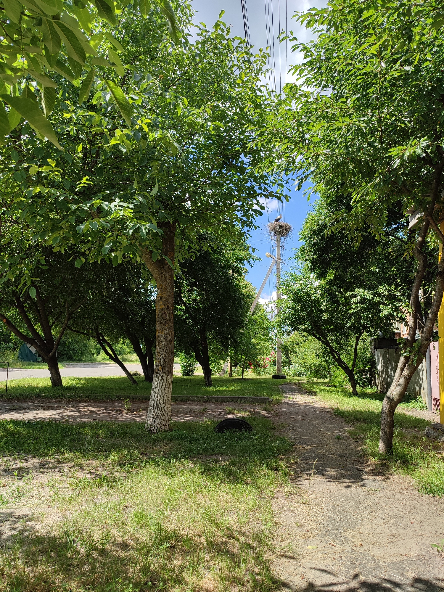 The image depicts a scene in Shyshaky, Ukraine, on a sunny day. A pathway made of gravel and dirt runs through a green area lined with trees on both sides. In the background, a stork is perched on a large nest atop a utility pole, surrounded by a blue sky with scattered clouds. The trees are lush and green, suggesting it is springtime or summer. The overall atmosphere is tranquil and rural.