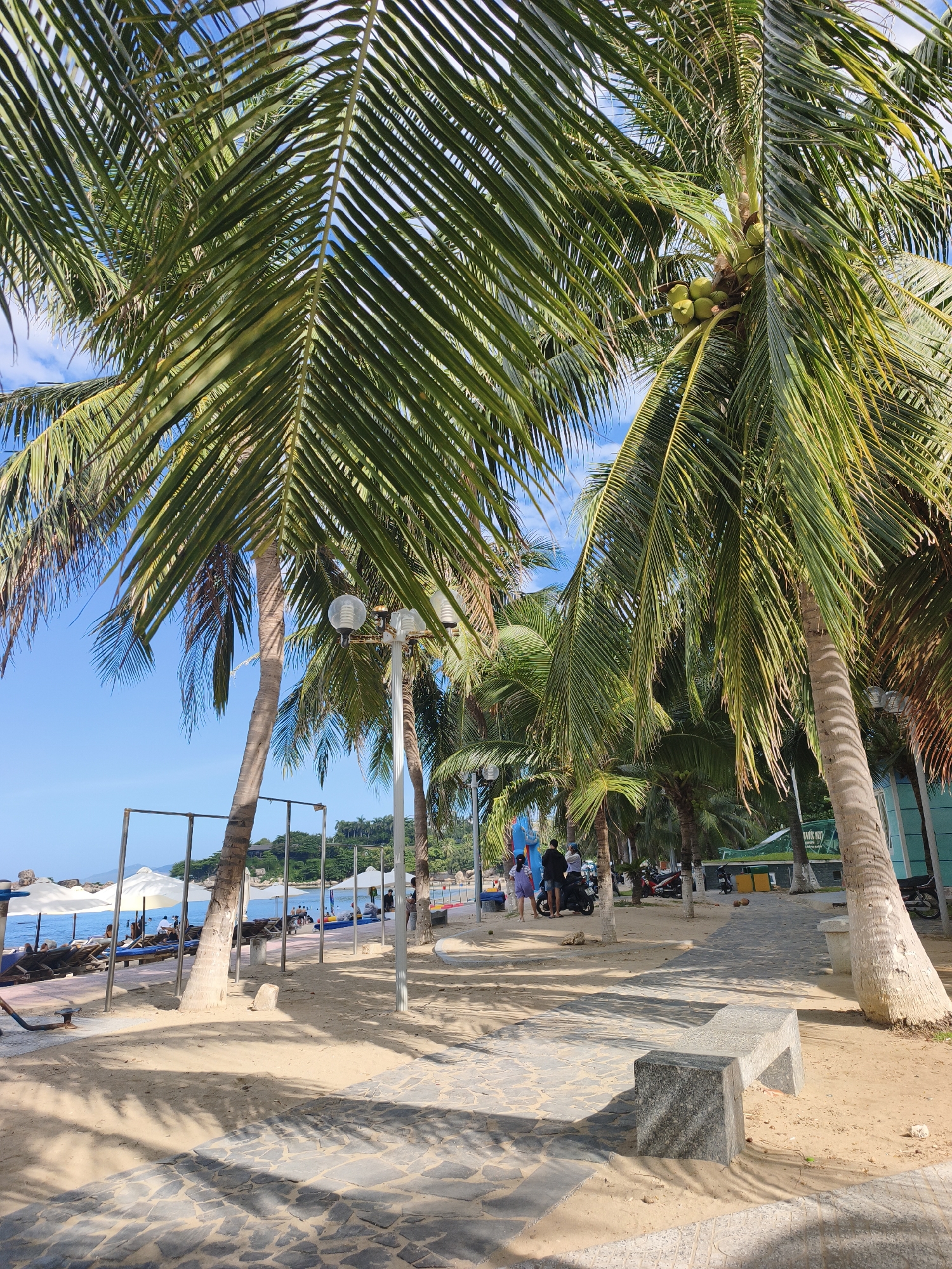 The image depicts a view of a tropical beach promenade in Nha Trang, Vietnam, likely in the central tourist area, characterized by its abundance of palm trees. In the foreground, a stone bench sits on a sandy path paved with irregular grey stones. Shadows of palm fronds are cast across the path and bench.
To the left, a beach scene unfolds with several white umbrellas providing shade over lounge chairs. People are visible relaxing on the beach. A walkway or promenade runs parallel to the beach, lined with more palm trees and lampposts.
Further into the scene, a few people are walking along the promenade, and several motorcycles are parked. In the background, the blue sea stretches out to the horizon, meeting a clear blue sky with a few scattered clouds. Lush green hills and vegetation are visible in the distance, typical of Nha Trang's coastal landscape. The overall atmosphere is one of a bright, sunny day at a popular beach resort.