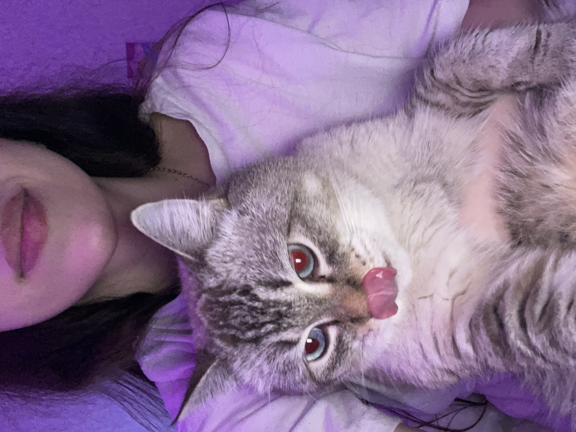 A close-up, eye-level shot features a person and a cat lying side-by-side, bathed in a vibrant purple light. The person, appearing to be a young woman with long dark hair, is positioned on the left side of the frame. Her left cheek, nose, and lips, adorned with pink lipstick, are visible. She wears a light-colored t-shirt and a thin silver chain necklace. To her right, occupying the center and extending to the right, is a light-colored tabby cat with distinct grey stripes. The cat has piercing blue eyes, exhibiting red reflections, suggesting the use of a flash. Its pink tongue is playfully extended, touching its nose. The background is softly blurred, showing only a purple glow, indicating an indoor setting, likely a bed or couch. The scene conveys a moment of intimacy and affection between the two subjects, possibly captured during a relaxed evening. No visible text is present.