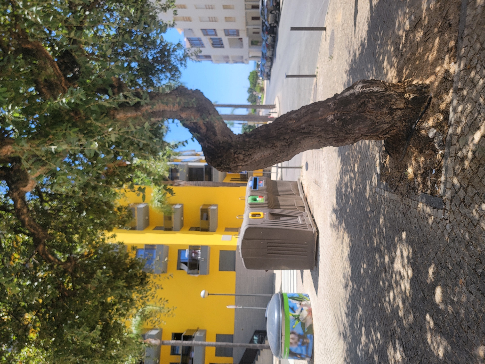 A street scene in Quarteira, Portugal, features a mature tree with a gnarled trunk in the foreground, casting dappled shadows on a cobblestone sidewalk. To the left of the tree, a cylindrical trash receptacle decorated with a floral motif stands next to a modular recycling station with compartments for different waste types. Behind the recycling bins, a modern yellow building with balconies and blue-framed windows is visible. A street with parked cars runs parallel to the sidewalk, leading towards a white building with multiple floors and balconies on the right side of the image. The sky is a clear blue, suggesting a sunny day.