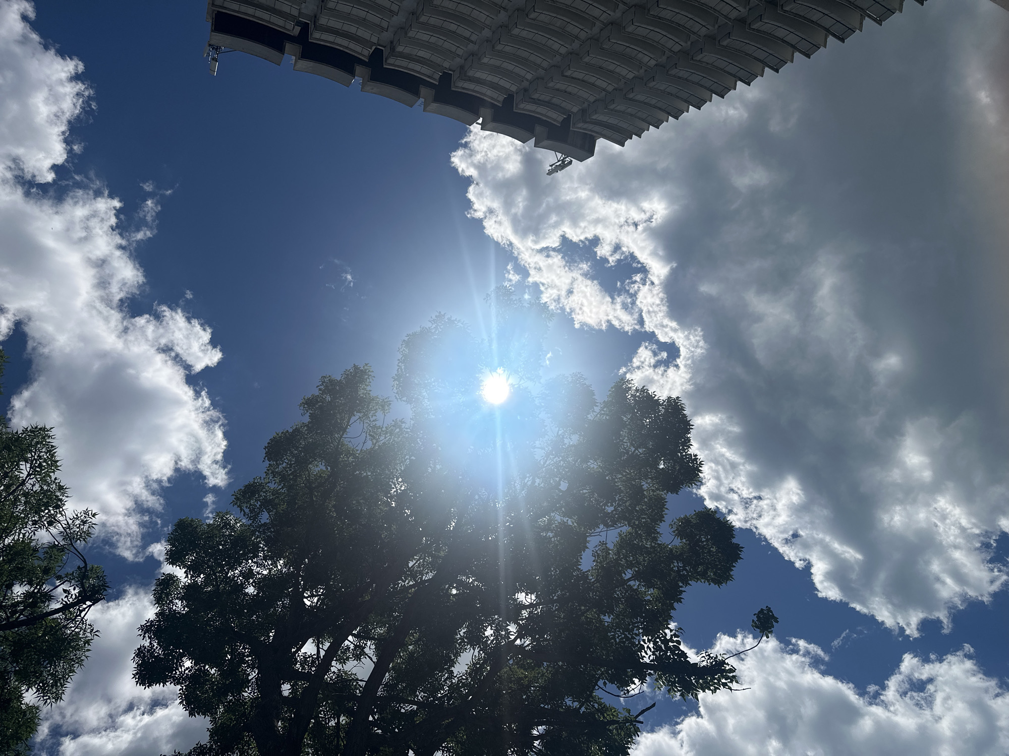 In a low-angle shot looking upwards, the sun shines brightly, creating a lens flare effect with rays emanating outwards. Lush green foliage from a large tree dominates the left side of the frame, with its branches reaching towards the sky. The sky is a vibrant blue, dotted with fluffy white clouds. On the right side of the image, the curved facade of a modern building rises, its architectural details of balconies and windows visible. The scene captures a sunny day in an urban environment, with a contrast between the natural elements of the tree and sky and the man-made structure of the building.