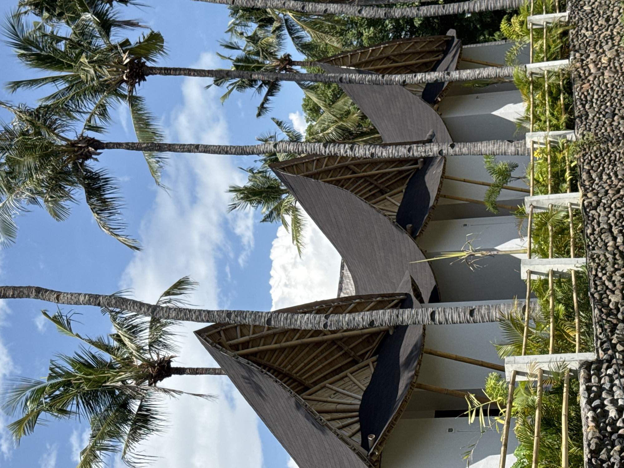 The image shows a row of structures with unique roofs in an outdoor setting in an unknown location in Indonesia. The roofs are triangular, made of dark material on the outside and bamboo on the inside, and extend from white-painted walls. Tall palm trees are present with their trunks passing in front of and through the rooflines. A wall covered in small rocks runs vertically along the right edge. Lush vegetation is visible. The sky above shows a mix of blue and white clouds.