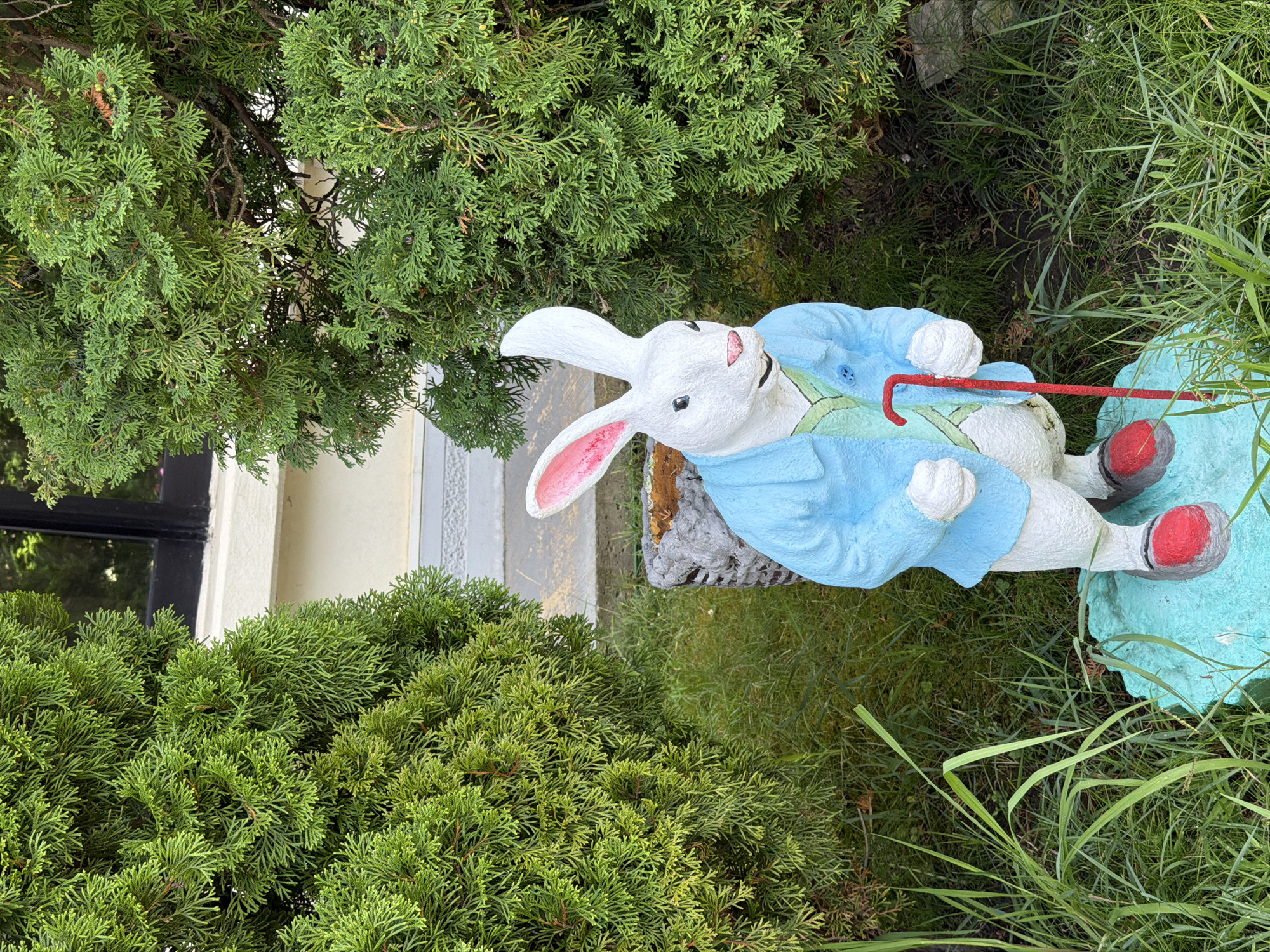 An outdoor medium shot captures a white rabbit statue, painted to resemble the character Peter Rabbit, standing amongst lush green evergreen bushes. The rabbit is depicted wearing a blue jacket over a light green vest and a red pair of shoes. It holds a red cane in its right hand. The statue stands on a light blue base, with grass and some foliage surrounding it. In the background, a building with beige walls and a dark window is visible. The scene is set in the city of Sochi, Russia.