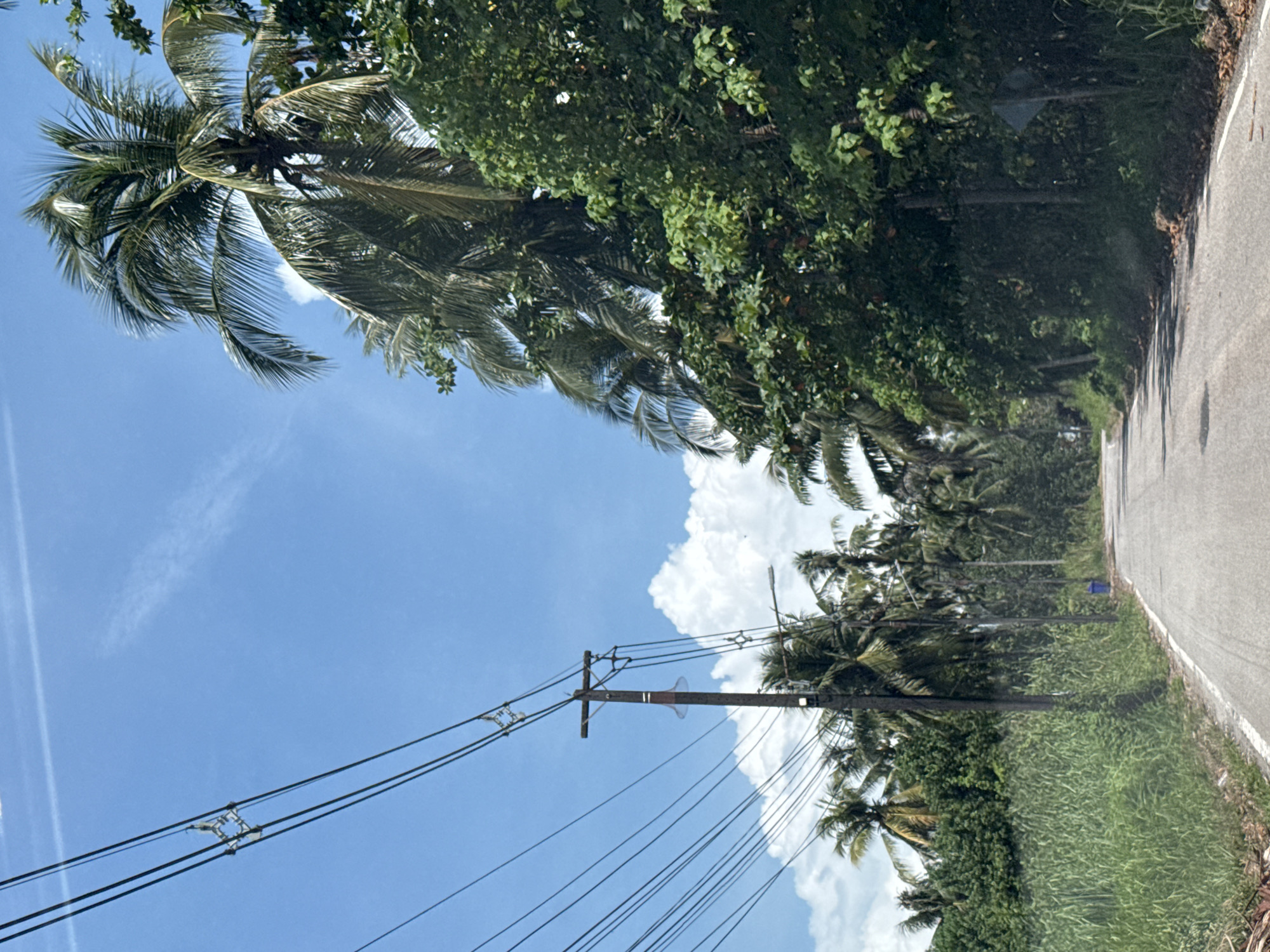 A paved road curves through a tropical landscape in Ban Khuk Khak, Thailand. Overhead power lines stretch across a bright blue sky dotted with wispy white clouds. To the right, lush green trees, including tall palm trees with fronds, form a dense border along the road. On the left, tall green grass lines the side of the road, and more palm trees are visible in the distance. A wooden utility pole with multiple wires extending from it stands beside the road, with a blue trash bin situated further down on the right side of the road. The road surface shows signs of wear and has white lines marking its edges. The overall scene depicts a rural or semi-rural road in a sunny, tropical environment.