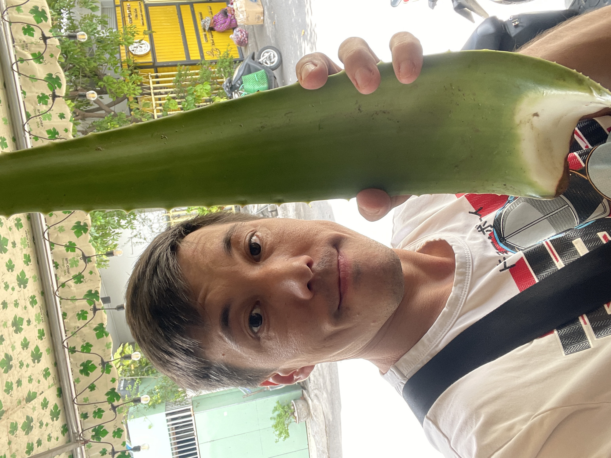 A man in a white t-shirt and a black strap across his chest is holding a very large, thick green aloe vera leaf up to the camera. He is smiling slightly and looking at the camera. His left hand is visible supporting the leaf. The background shows a street scene in Nha Trang, Vietnam, with a yellow building adorned with signs, a parked motorcycle, and some greenery. A canopy with a leaf pattern is visible above the man's head.