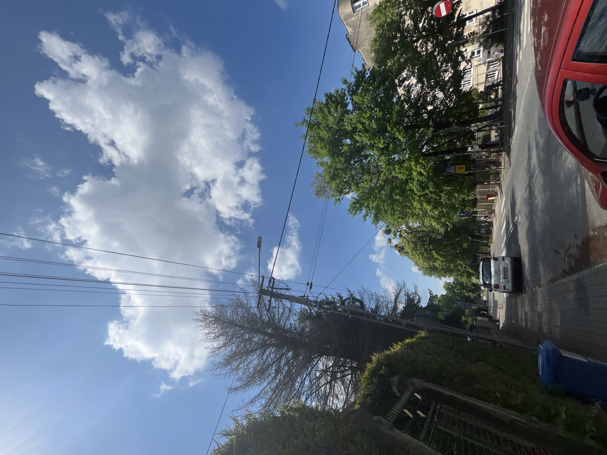 The image presents a sunny, outdoor street scene, originally captured with a low, upward-angled perspective and rotated 90 degrees counter-clockwise. The sky dominates the upper portion, a vibrant blue with large, scattered white cumulus clouds. A noticeable sun glare emanates from the bottom-left corner of the frame.
Numerous utility poles and a dense network of power lines crisscross the sky, adding an urban element. In the foreground, on the left side of the street, there's a blue recycling bin nestled amidst green hedges. Behind these, a prominent bare-branched tree stands, its stark branches contrasting with the full, lush green foliage of other trees lining the street further away. A street light is mounted on one of the utility poles.
The asphalt street occupies the central part of the lower frame, with a sidewalk running parallel to it. A red car is partially visible in the immediate foreground on the right side, suggesting the photo was taken from close proximity to it. Further down the street, a white car is seen, either parked or in motion.
Along the right side of the street, beyond the sidewalk, several tall trees with dense green leaves line the path. Behind these trees, a multi-story building with multiple windows is partially visible. Two traffic signs are noticeable: a prominent red and white "No Entry" sign (red circle with a white horizontal bar) and, further down, a yellow triangular warning sign depicting a pedestrian symbol, indicating a crossing. A crosswalk is faintly visible on the road surface near the yellow sign.
The scene depicts a typical daytime setting, likely during spring or summer given the clear skies and green foliage. There are no clearly visible people or specific events occurring, portraying a calm, everyday street environment. No readable text is present on any signs or objects, apart from the universal symbols on the traffic signs.