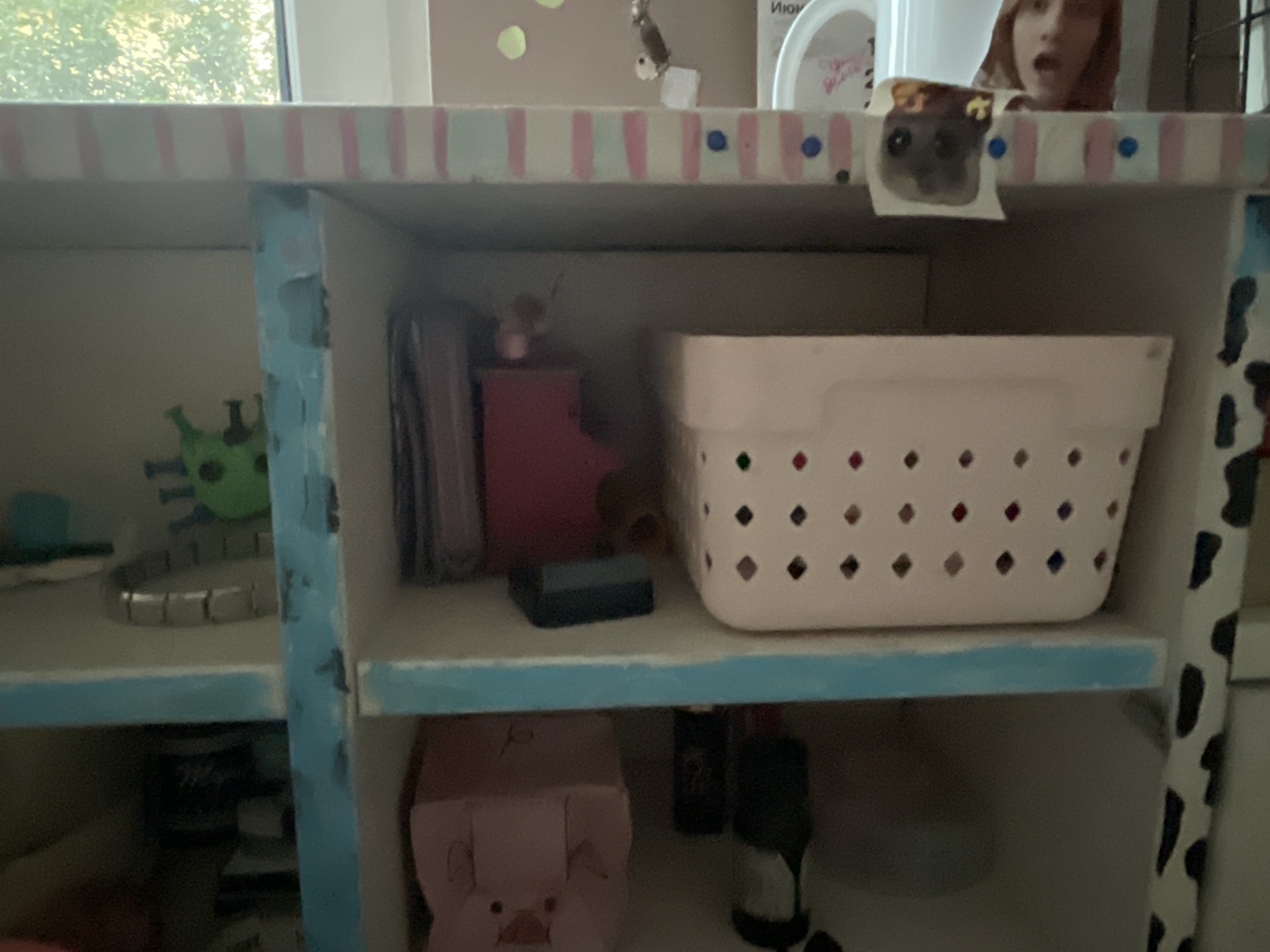 The image shows the interior of a shelf unit that appears to be in a home in Мухавецкі сельскі Савет, Belarus. The shelf unit is decorated with a pastel striped pattern on the top edge and light blue paint on the sides, some of which is chipped.
On the top shelf, there is a window with a view of trees and foliage outside. There is also a small picture of a hamster attached to the front of the shelf.
The middle shelf contains a pink storage basket with a diamond pattern, a dark rectangular object, and a stack of what appear to be books or notebooks. On the left side of the middle shelf, a green toy with spikey protrusions is visible. A silver-colored bracelet is also on this shelf.
The bottom shelf has a pink pig-shaped box, and behind it, several dark bottles and a white object are visible. The right side of the shelf unit is decorated with a black and white cow print pattern. A portion of a person's face, with an open mouth, is visible in the upper right corner of the image, peeking over the top shelf.