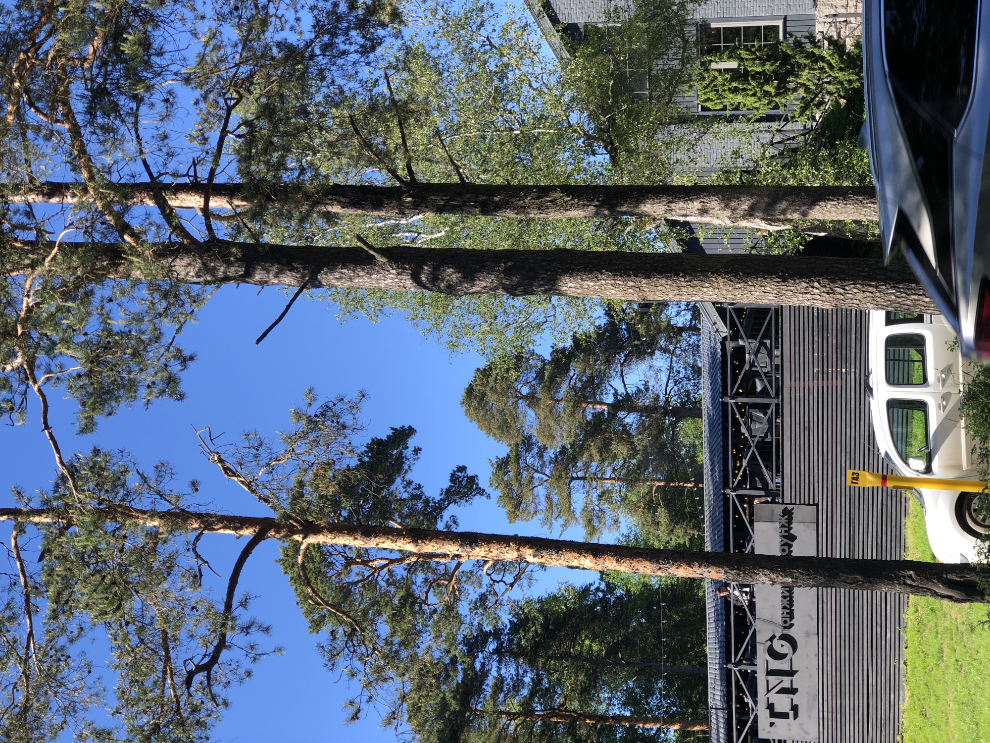 This image depicts an outdoor scene on a clear, sunny day in Solnechnoye, Russia, characterized by a mix of natural elements and man-made structures.
The foreground is dominated by several tall, slender pine trees with textured reddish-brown bark and dark green needles, casting shadows. Behind these, a dense canopy of trees includes lighter-foliaged birches and other conifers under a bright, clear blue sky.
In the mid-ground, a commercial building identified as "IHO танджи лаунж" (likely "Tanji Lounge") is prominently visible. This structure features a dark roof and an outdoor terrace with a black wooden railing and horizontal slat siding. White Cyrillic lettering spells out the establishment's name. String lights are strung across the terrace, and a single male figure, dressed in dark clothing, is standing on the terrace.
To the right of the lounge, a dark grey brick building with a partial view of its pitched roof, a prominent rectangular window, and a stone foundation is visible.
At ground level, patches of green grass and low-lying shrubs are present. A white SUV, possibly a Jeep Patriot, is partially visible on the left side of the image, positioned next to a yellow gas pipeline marker pole bearing the Cyrillic text "ГАЗ" (GAS). On the bottom right, a silver vehicle, likely an SUV with a distinct spoiler, is partially visible and appears to be in motion or captured with slight blur.