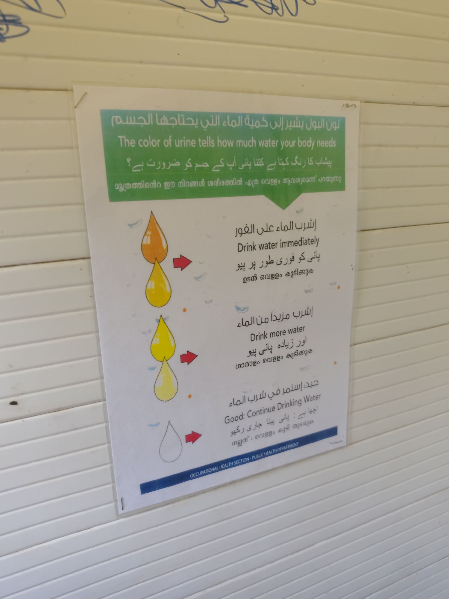A photograph, taken at an eye-level angle, displays a sign with information about urine color and hydration levels. The sign is predominantly white with a green header. The green header contains text in Arabic, English, Urdu, and Malayalam, with the English text reading, "The color of urine tells how much water your body needs." Below the header, there are three illustrations of urine drops, each with an associated red arrow pointing to the right. The top urine drop is a dark orange, followed by a lighter yellow-orange drop, and then a pale yellow drop at the bottom. Each color corresponds to different advice in the multi-lingual text below. The sign is attached to a wall constructed of horizontal white panels. The sign is slightly angled, with the top left corner appearing to be the highest point. The bottom of the sign has a dark blue strip with white text reading "OCCUPATIONAL HEALTH SECTION - PUBLIC HEALTH DEPARTMENT." The scene suggests an outdoor or semi-outdoor setting, possibly in a public facility. The lighting is bright, indicating daytime. There are no people visible in the image. The photograph was taken in Dushanbe, Tajikistan.