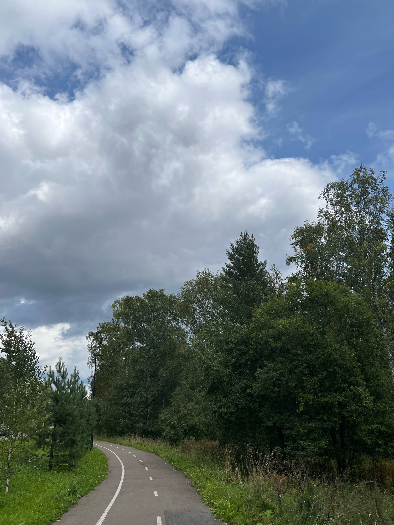 The image shows a paved bicycle path winding through a park-like setting with dense green trees. The path has white markings. The sky above is partly cloudy with a mix of white and gray clouds, with patches of blue sky visible. The vegetation consists of various trees, including some that appear to be birch and pine, as well as tall grasses. The scene suggests an outdoor recreational area in a natural environment. Given the information, this could be a path within a park in Krasnoyarsk, Russia. No people are visible in the image.