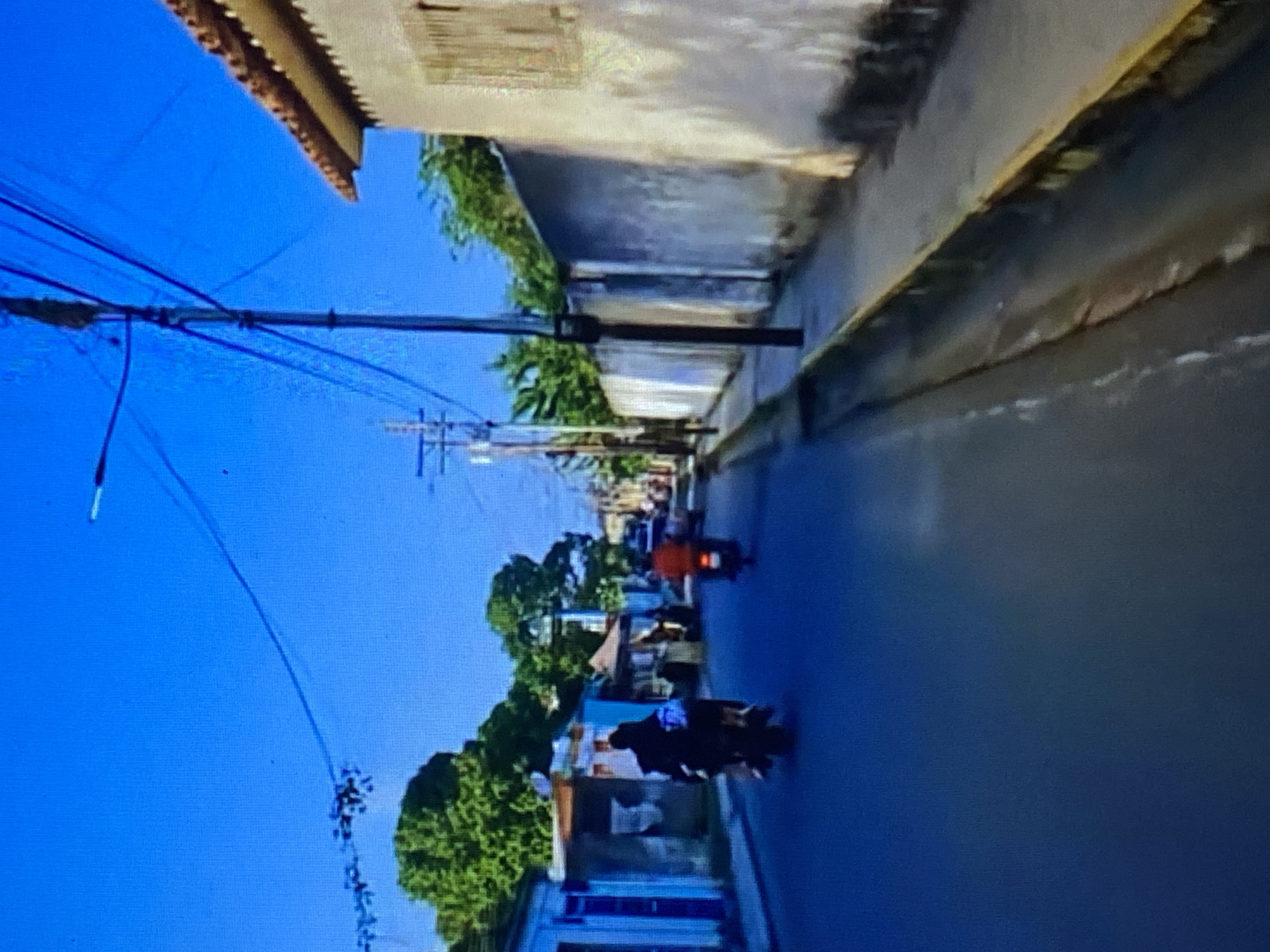 The image displays a daytime street scene in Tinaquillo, Venezuela, captured from a slightly elevated perspective looking down a paved road. The bright blue sky dominates the upper portion, indicating clear, sunny weather.
In the mid-ground, two individuals are seen riding motorcycles on the road. The closest rider, in the lower center, is clad in dark attire on a dark motorcycle. Further down the street, another person is visible on a red or orange motorcycle.
The street is flanked by buildings on both sides, varying in style but generally featuring light-colored walls and some with visible tiled roofs. Green foliage from trees and bushes is interspersed among the structures, particularly on the left side of the road. A tall, dark utility pole stands prominently on the left, with numerous electrical or communication wires extending across the frame against the sky. The road surface appears dark, possibly asphalt.
There is no discernible text visible within the image. The scene conveys a typical, active street environment in a warm climate, with local residents navigating the area.
