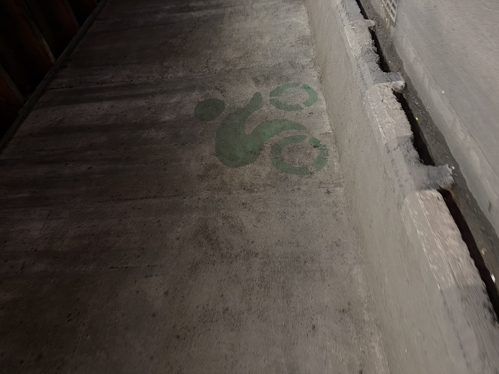 The image shows a concrete surface with a faded green symbol painted on it. The symbol appears to depict a stylized bicycle, with a single circle for the front wheel, a swooping line for the frame, and another circle for the back wheel. The concrete surface is worn and textured. The location is likely a bicycle lane in the city of Tbilisi, Georgia.