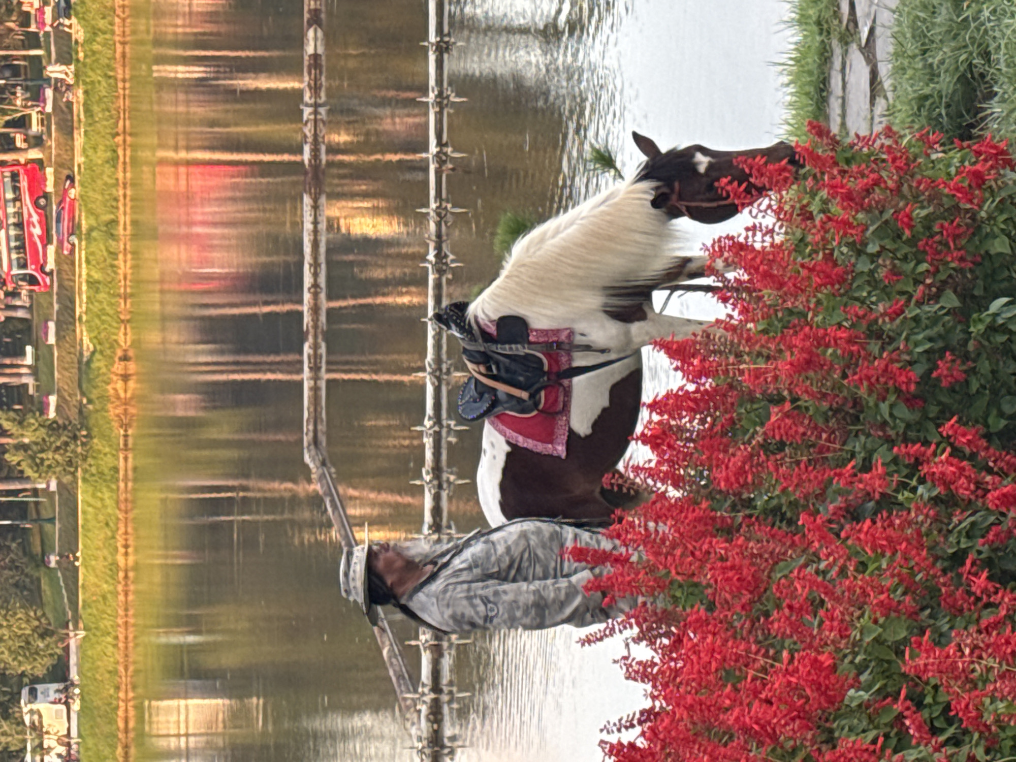 A man in camouflage clothing and a hat stands beside a piebald horse. The horse has a saddle and a red blanket. Both are near the water's edge, with red flowers in the foreground. In the background, trees reflect in the water, and a red bus and other vehicles are visible on the far bank, suggesting a public area like Xuan Huong Lake in Da Lat, Vietnam.