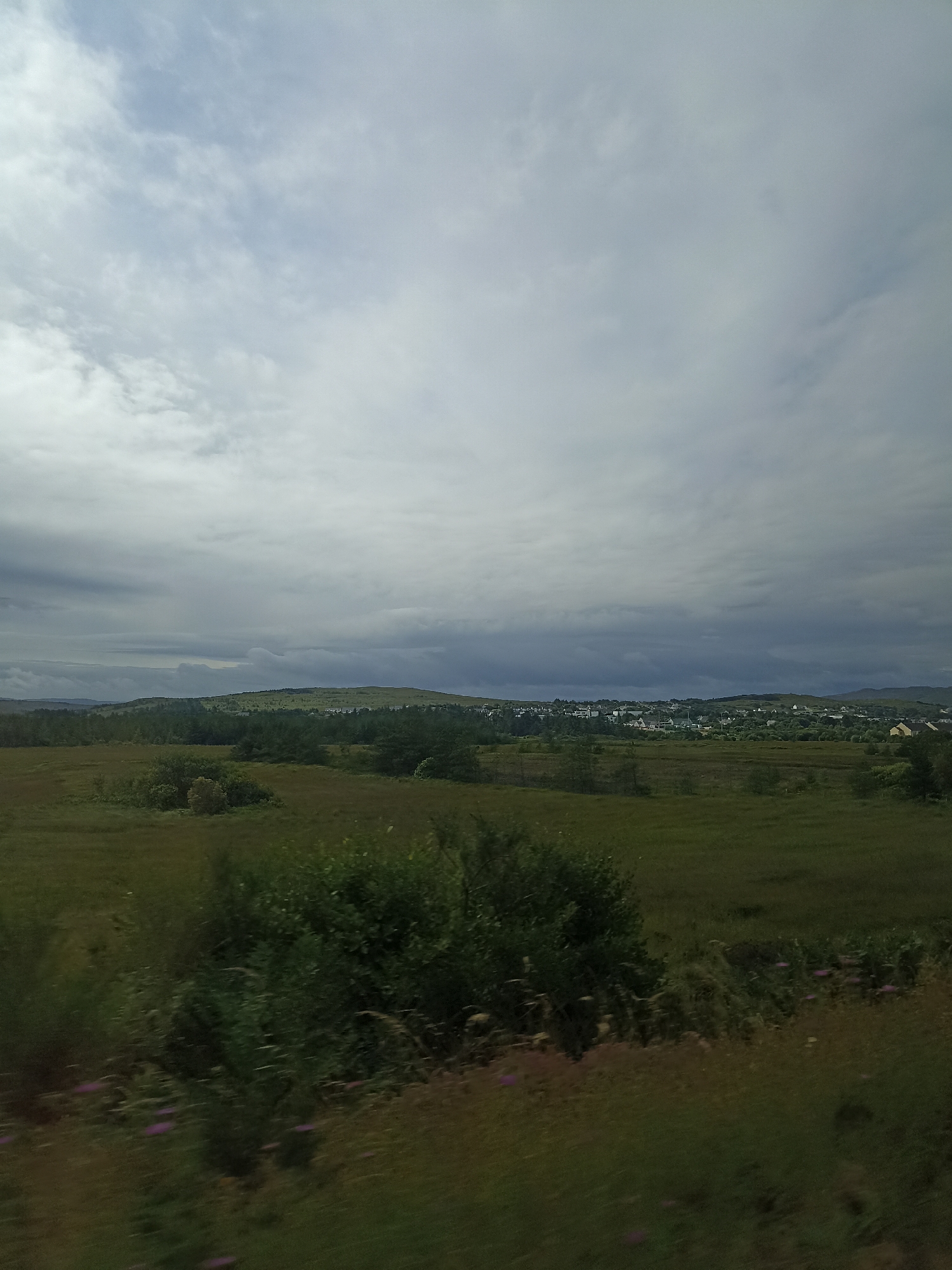 The image depicts a vast, undulating landscape under a dramatic, overcast sky. The foreground is dominated by a field of tall, green grass with scattered patches of darker shrubbery and the subtle hint of small purple flowers. In the mid-ground, a dense forest of dark green trees stretches across the horizon, punctuated by a small, dispersed settlement of buildings, likely houses, with white and yellow facades. Beyond the trees, rolling hills create a layered backdrop, their contours softened by the diffused light. The sky is filled with heavy, grey clouds, suggesting an impending storm or a recent downpour, with breaks of lighter sky visible towards the upper edges of the frame. The overall impression is one of natural beauty and a quiet, rural atmosphere. There is no visible text in the image. The time of day appears to be late afternoon or early evening, given the muted light and the quality of the shadows, if any. The location appears to be a rural area in Ireland, possibly near Rosses Business Park, characterized by its green fields, scattered settlements, and hilly terrain. The mood is somewhat somber due to the cloudy weather, yet peaceful and expansive.