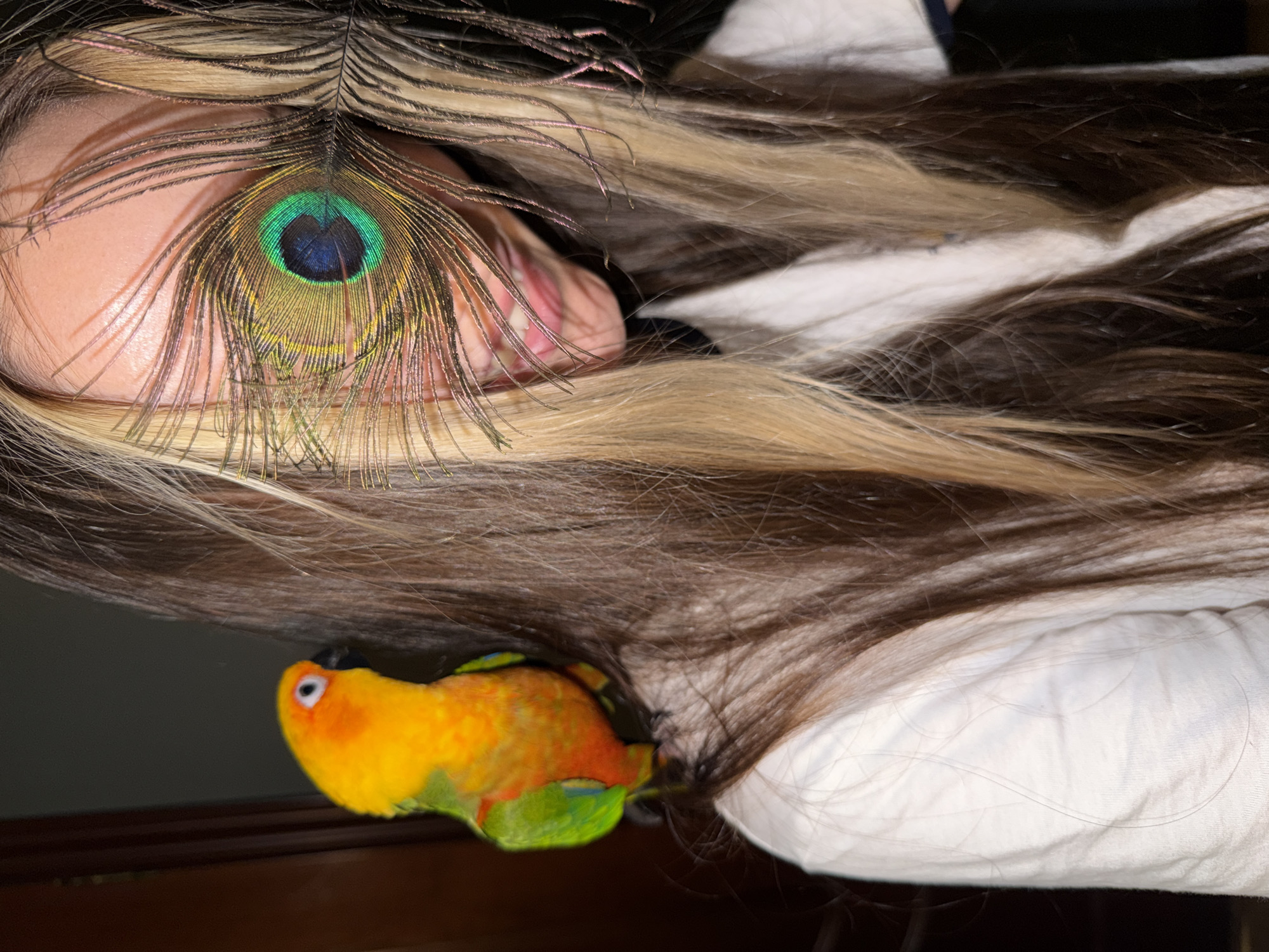 The image displays a person from the chest up, with their face partially obscured by a peacock feather. A sun conure parrot is perched on the person's left shoulder. The person has long, wavy hair with blonde highlights. They are wearing a white shirt. The background is dark and indistinct. There is no discernible location in the city of Khimki, Russia.