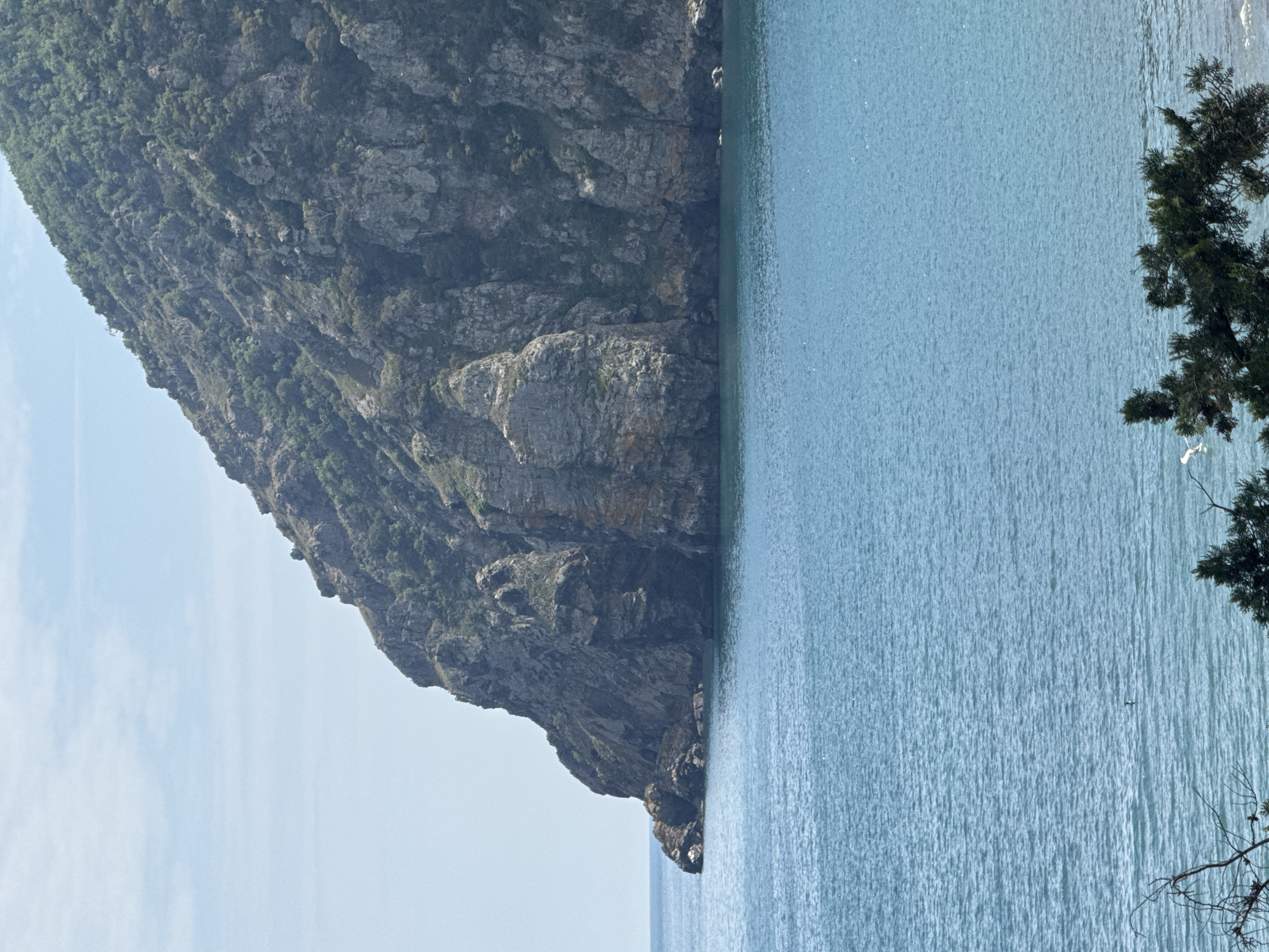 A landscape photograph shows a rocky headland meeting the ocean, with a tree in the foreground, taken in an unknown location in an unknown city. The headland is composed of gray rock, with vegetation growing on its upper slopes. The ocean appears calm, with a blue-gray color. The tree in the foreground has dark green foliage and appears to be partially obscuring the view of the ocean. The sky is a pale blue with some visible clouds.