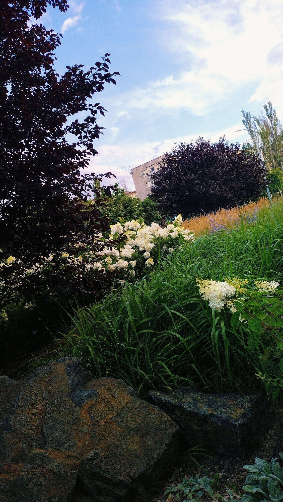 This photograph captures a section of a park or public garden in Horishni Plavni, Ukraine, under a bright, cloudy sky. In the foreground, large, dark-colored rocks with reddish-brown markings are visible. Behind the rocks, lush green grass and reeds grow tall, interspersed with clusters of white hydrangeas. To the left, a dark-leaved tree with visible branches extends into the upper left quadrant of the frame. In the background, a modern, multi-story building with windows can be seen, partially obscured by trees. To the right, a large, dark-leaved tree is prominent, and further back, slender, tall trees with light-colored foliage line the horizon. The overall impression is of a well-maintained urban green space.