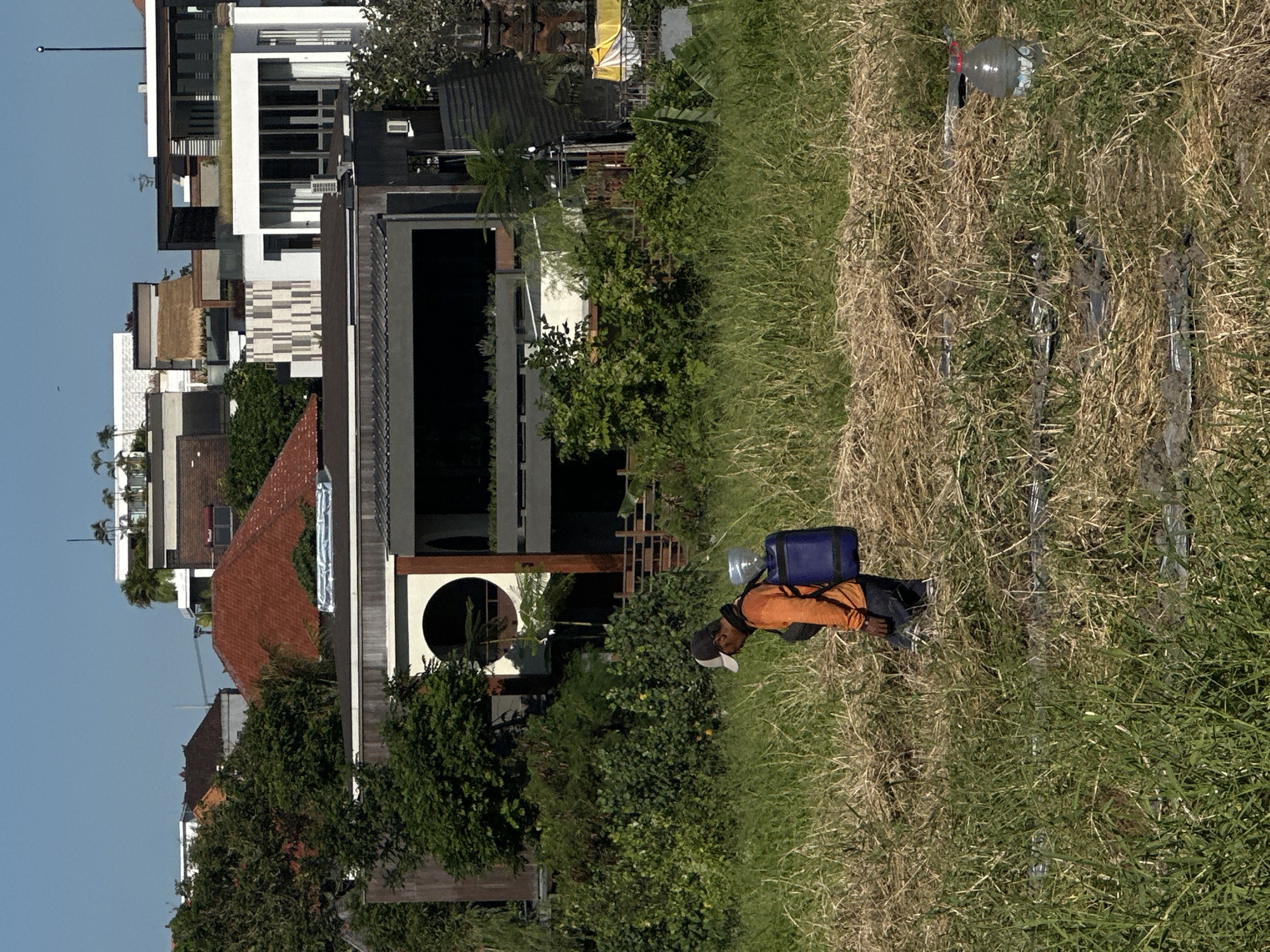 A vertical, medium outdoor shot shows a man wearing an orange shirt, carrying a backpack, and watering plants. The man wears a baseball cap and dark pants as he is crouched down to irrigate the plants. The plants are thin with a few patches of green amid dry, brown grass. Several water bottles sit among the plants. Behind the plants is lush green foliage and a modern building with a rounded entry point. Other buildings, including high-rise apartments, are visible behind the foliage. The photograph was taken in North Kuta, Indonesia.