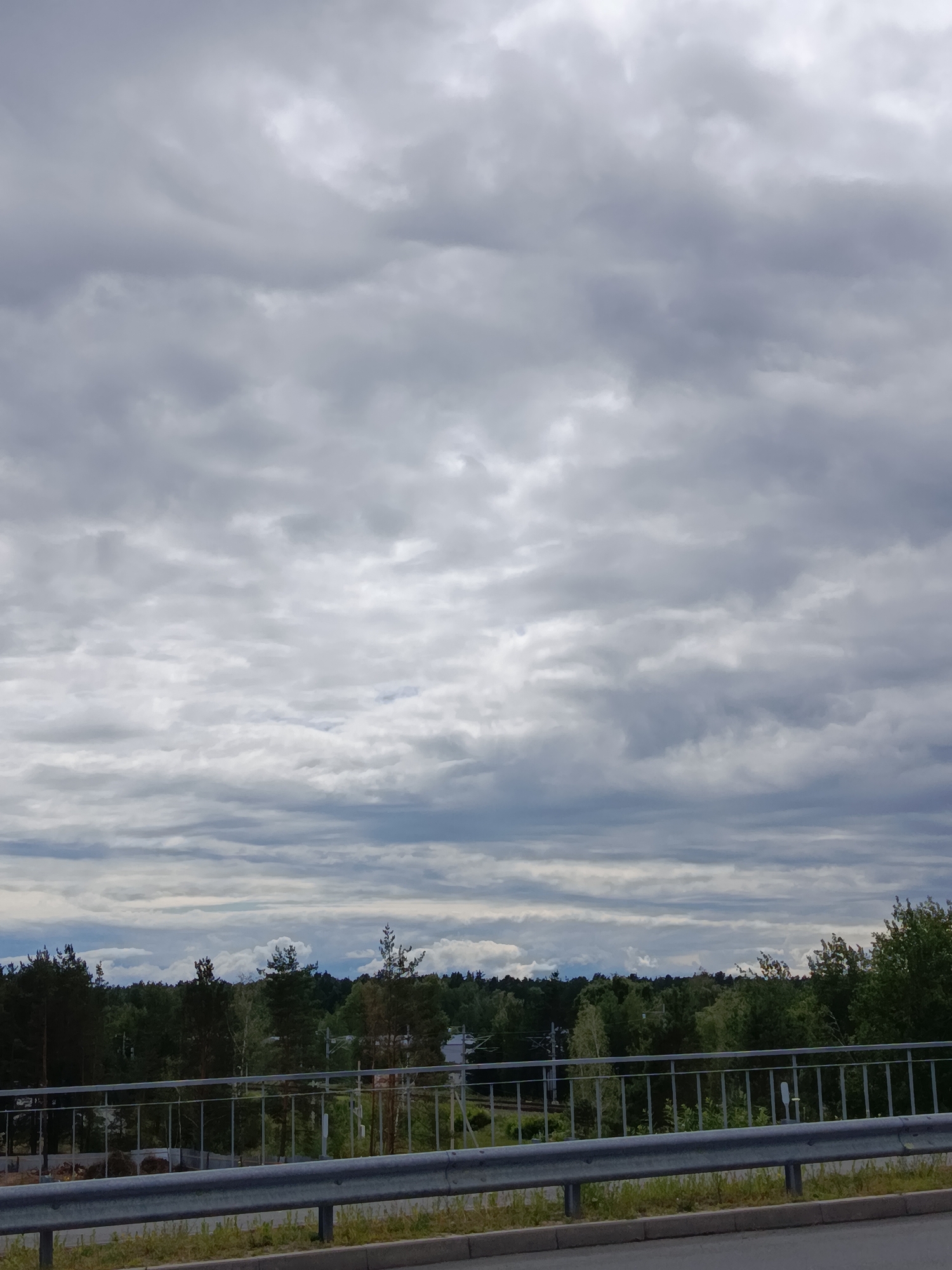 The image depicts an overcast sky with dense, layered clouds dominating the upper portion. Below the sky, a dense forest of deciduous and coniferous trees stretches horizontally across the frame, with varying shades of green indicating different tree types. A metal railing runs along the foreground, suggesting the viewpoint is from an elevated position, possibly a bridge or overpass. The railing is grey and appears to be made of sturdy metal bars. Immediately behind the railing, there is a strip of green grass and some scattered vegetation. Beyond the railing and forest, faint structures and signs of human activity can be discerned, hinting at a possibly suburban or industrial edge to the natural landscape. The overall impression is a view of nature meeting the built environment under a dramatic sky. There are no people visible in the image. The scene could be located in Svietlahorsk, Belarus, a city known for its industrial presence and surrounding forested areas.