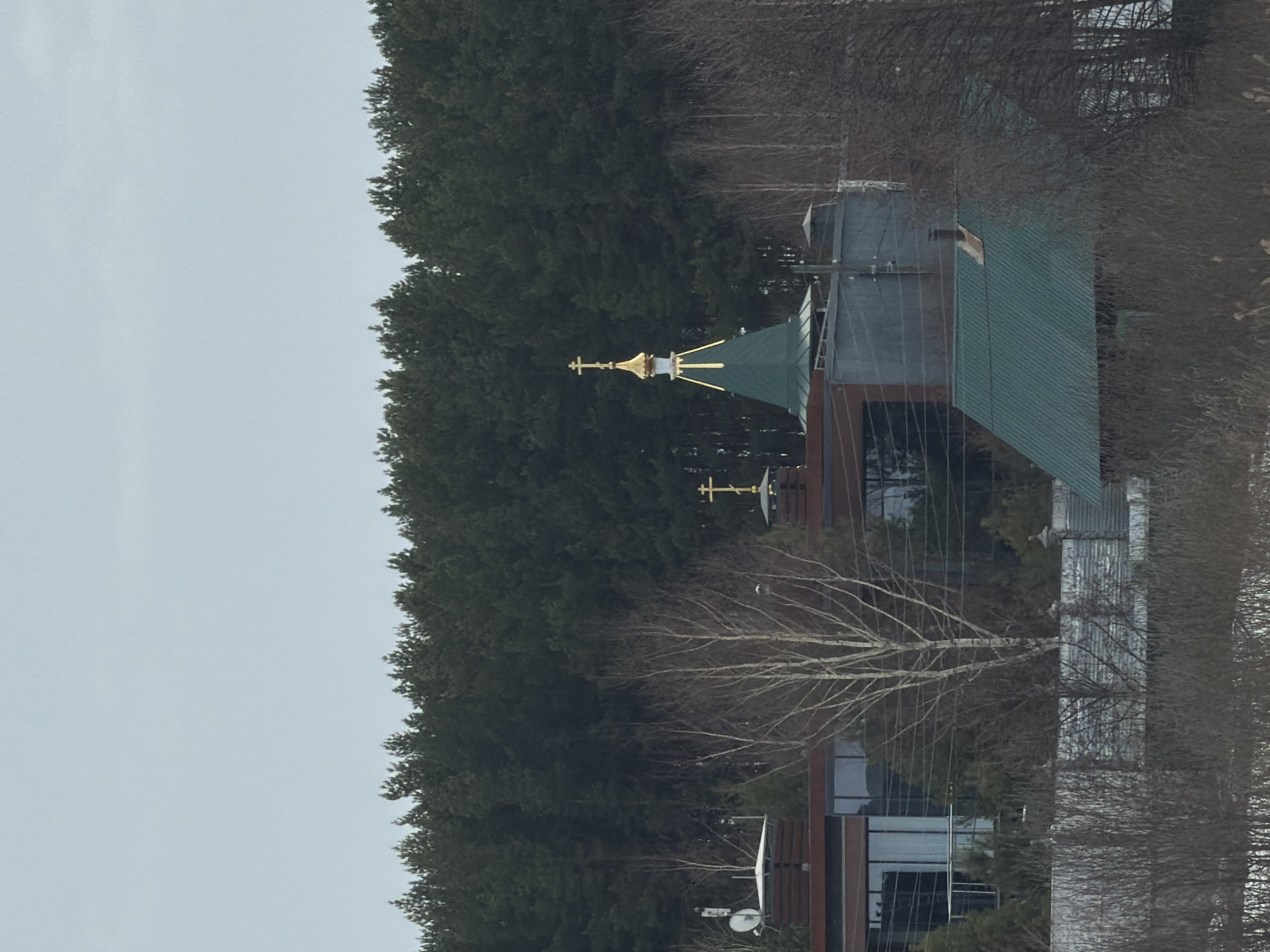 The image shows a view of a building in Izhevsk, Russia, with a prominent green roof topped by a golden onion dome and cross, indicating an Orthodox church or chapel. The building's architecture also features modern elements, including glass windows and a flat roof. A dense forest serves as a backdrop, and bare trees are visible in the foreground. Other buildings can be partially seen nearby, including one with a satellite dish on its roof. The sky is overcast.