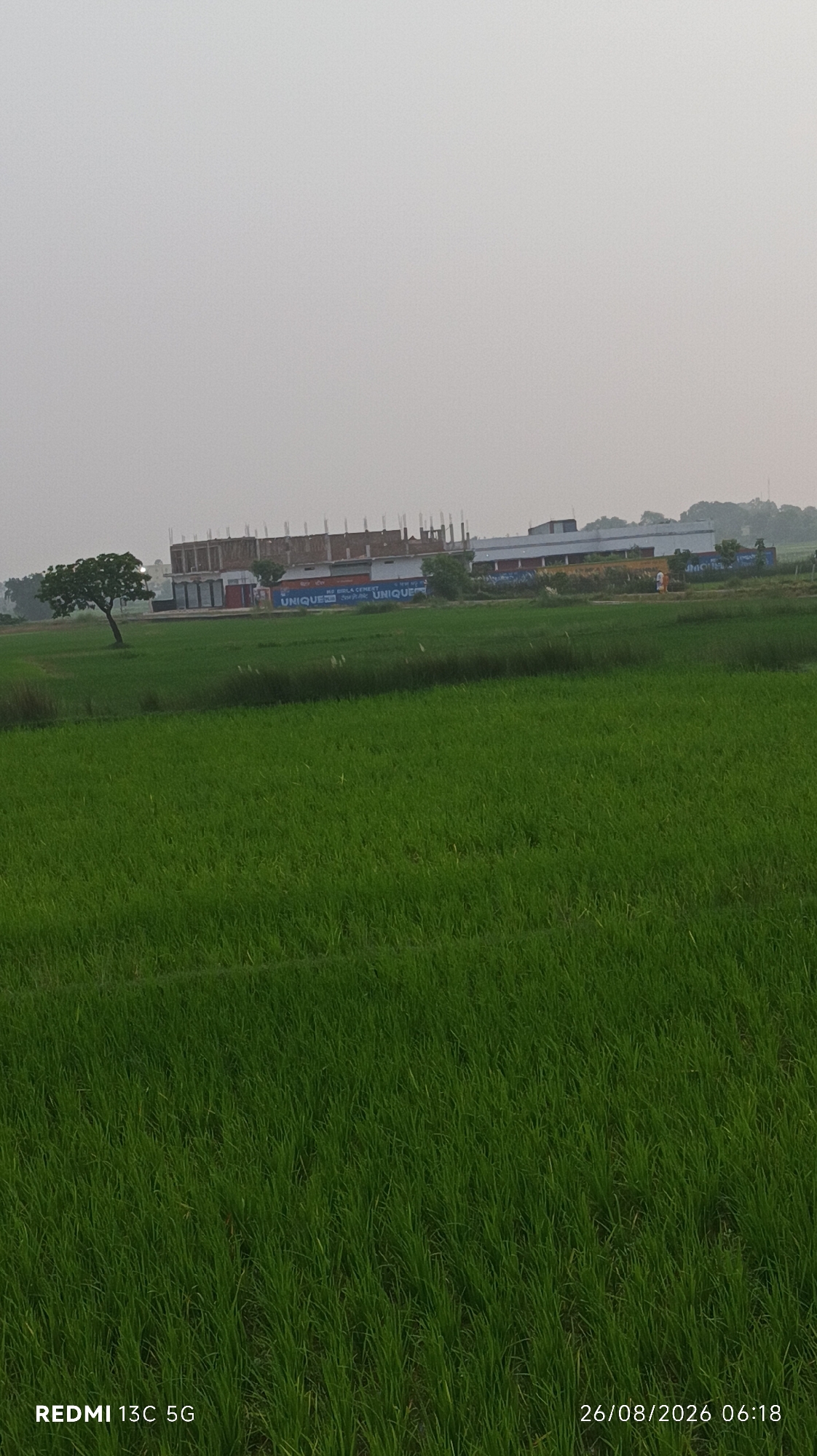 This is a vertical, eye-level, full-shot image of a lush green rice paddy field with a building complex in the background. The building, which appears to be under construction and possibly a school or factory, has a long, multi-story structure with visible rebar and concrete pillars. Signs on the building read "UNIQUE" and "BIRLA CEMENT," suggesting this location is in Narayanpur, India. To the left of the building, a solitary tree with a rounded canopy stands in the middle of the field. The sky is overcast and a pale gray. The bottom right corner of the image displays a timestamp: "26/08/2026 06:18," and the bottom left corner shows "REDMI 13C 5G." The overall scene is tranquil and rural.