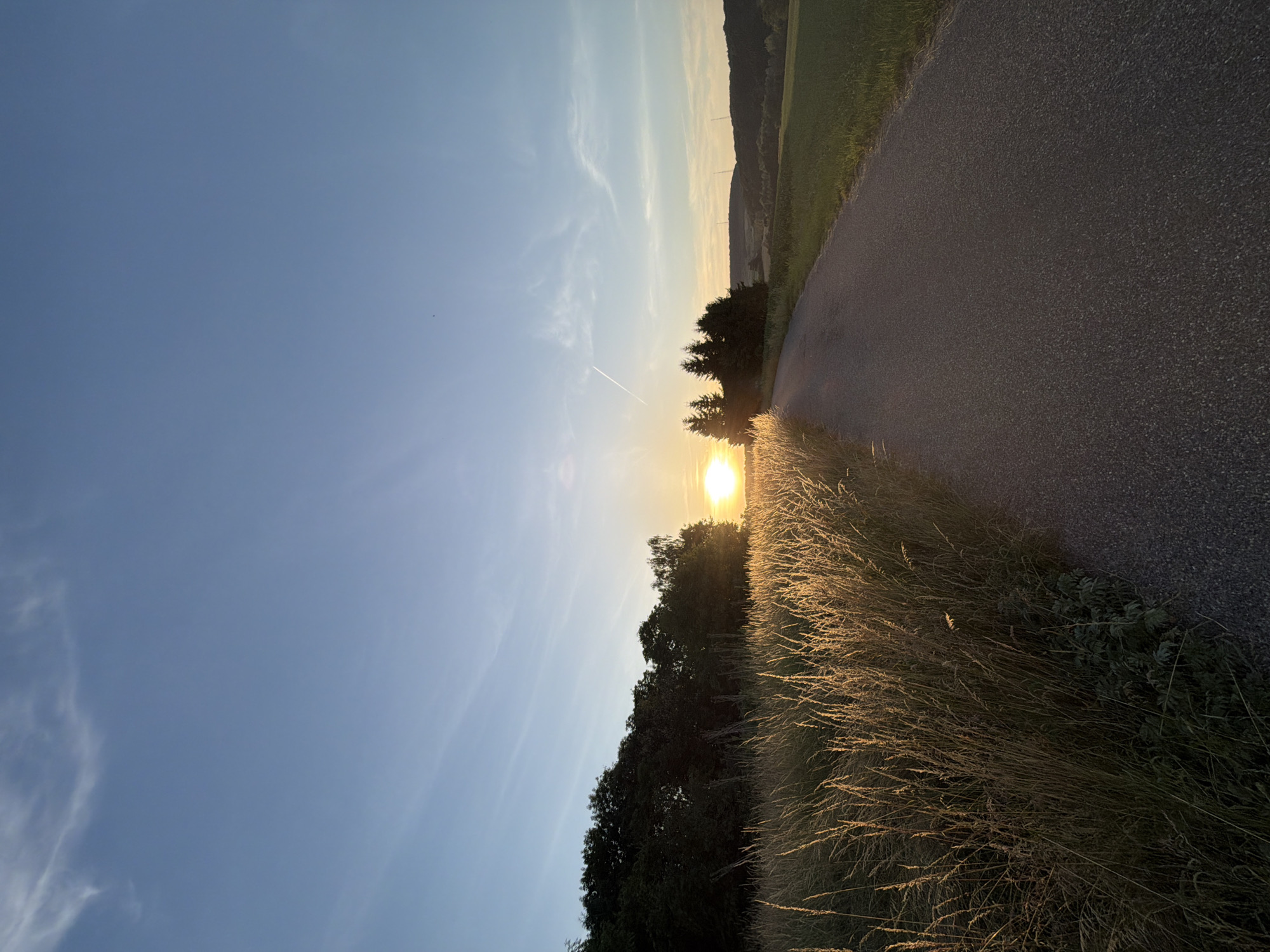 The image depicts a rural landscape at sunset. A paved road curves through the scene, bordered on the left by a field of tall, golden-brown grass illuminated by the setting sun. To the left of the grass, a dense line of dark green trees forms a treeline. On the right side of the road, a green agricultural field stretches towards a rolling, wooded hillside in the distance. The sky is a clear, pale blue with a few wispy white clouds and a faint contrail from an aircraft. The sun, a bright white orb, is low on the horizon, casting a warm glow over the grass and treetops. The overall impression is one of peaceful, natural beauty. The location is identified as Olingen, Luxembourg.