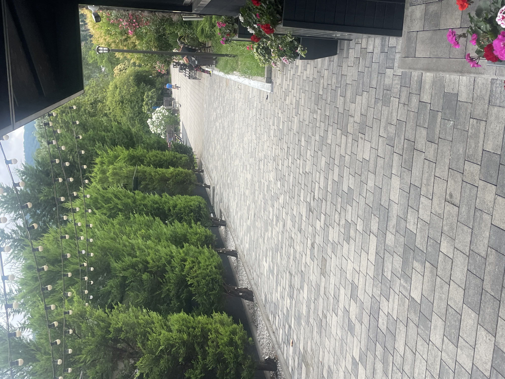 The image depicts a paved walkway lined with manicured evergreen trees, with a canopy of decorative string lights overhead. The walkway is constructed of interlocking gray pavers. On the left side, the trees are closely planted, with a strip of gravel at their base. On the right side of the walkway, there is a building with a dark exterior, partially visible planters filled with pink and red flowers, and outdoor seating. Further down the walkway, a young boy is riding a bicycle, and a few individuals are seated on benches. The background features lush green foliage and trees, suggesting a park-like or resort setting. The sky is overcast, contributing to a soft, diffused light. The scene appears to be an outdoor public space within the city of Sochi, Russia, likely a resort or recreational area.