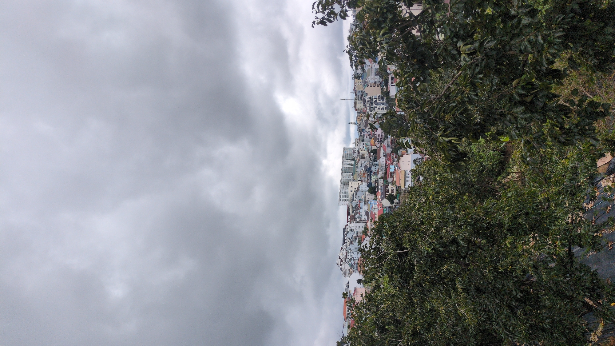 The image depicts a panoramic view of a densely populated hillside in Da Lat, Vietnam, under a heavily overcast sky. In the foreground, lush green foliage from several large trees dominates the lower half of the frame, obscuring the ground. Beyond the trees, a cityscape unfolds, characterized by a collection of houses and buildings with varied architectural styles and a spectrum of colorful roofs, including red, pink, blue, and white. Some larger, modern buildings with white facades are visible further into the city. The topography suggests a steep incline, with structures built closely together along the slopes. The overall atmosphere is subdued, likely due to the cloudy weather, which casts a muted light over the scene. No people or specific activities are discernible.