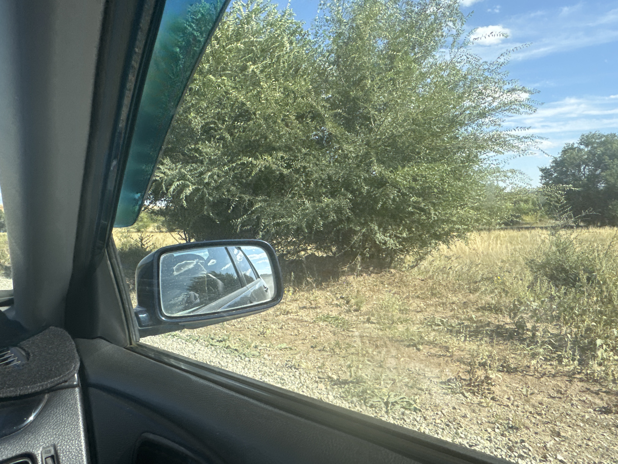 The image, taken from inside a vehicle, shows a view of a rural landscape through the car window and side mirror. The foreground features the interior of the car, including a dark-colored dashboard, a black fabric mat, and a side door panel. A blue-tinted wind deflector is visible along the top edge of the open window. The side mirror reflects a portion of the exterior, showing trees and a cloudy sky.
The outdoor scene consists of dry, yellowish-brown grass and scattered green vegetation, indicative of a warm, possibly arid environment. Large, leafy green trees dominate the mid-ground and background, with a clear blue sky dotted with white clouds above. The ground appears to be a mix of soil and small gravel. The overall impression is a roadside view in a rural or semi-rural area, possibly during daytime in summer or late spring. The specific location in Васильевка, Russia, cannot be confirmed from the visual information alone. There are no people visible in the image.