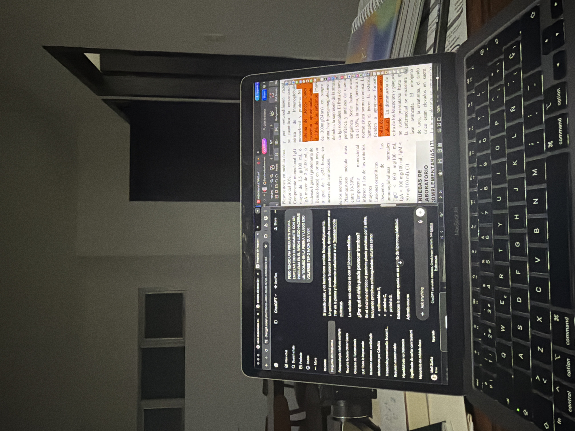 A laptop computer is open, displaying two separate applications simultaneously. On the left is a web browser, showing a conversation with a ChatGPT chatbot. The inquiry is regarding the relationship between kidney problems, blood clots, and pulmonary embolism, and the response discusses nephrotic syndrome. On the right side of the screen is a PDF document, which seems to be a medical text focused on myeloma. The laptop keyboard is visible.
The background is a dimly lit interior. In the distance, a window can be seen, suggesting an interior room.