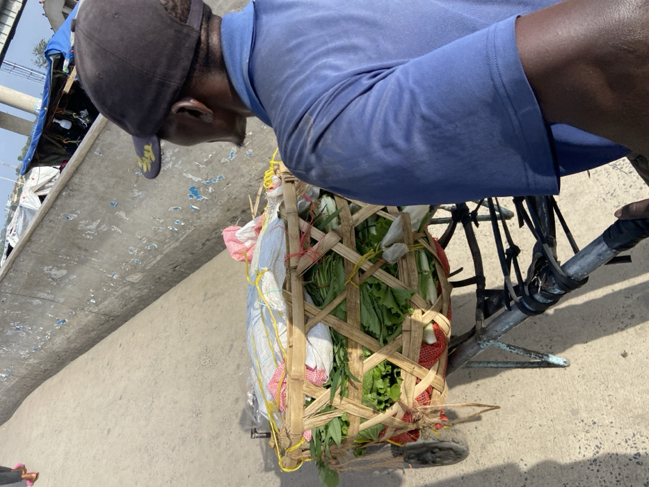 This image, taken from an elevated perspective, captures a man transporting goods on a bicycle in what appears to be an urban or semi-urban setting in Dar es-Salaam, Tanzania, during bright daylight.
The central subject is a man, seen from the chest up, wearing a blue short-sleeved shirt and a dark baseball cap with a small yellow design. His dark-skinned arm is visible, bent at the elbow, near the bicycle's handlebars. He is looking downwards, seemingly focused on the cargo or the path ahead.
The bicycle, primarily dark-colored, is laden with a significant amount of goods. Attached to the front or side is a large, light-colored sack, possibly white, partly covered by red netting. Adjacent to this, a sturdy bamboo basket is filled with fresh green leafy vegetables or herbs, indicating agricultural produce. The cargo is securely fastened to the bicycle frame with various yellow ropes, red ties, and black straps.
The setting is outdoors under clear, sunny skies, suggested by the strong illumination. The ground is a light-colored paved surface, likely concrete. In the background, a large, grey concrete structure, possibly part of a bridge, an elevated road, or a building, features patches of blue marks, possibly from peeling paint or debris. The overall atmosphere depicts a scene of daily activity and commerce. The man is engaged in transporting these goods, suggesting he may be a vendor or delivering items. No visible text is clearly legible in the image.