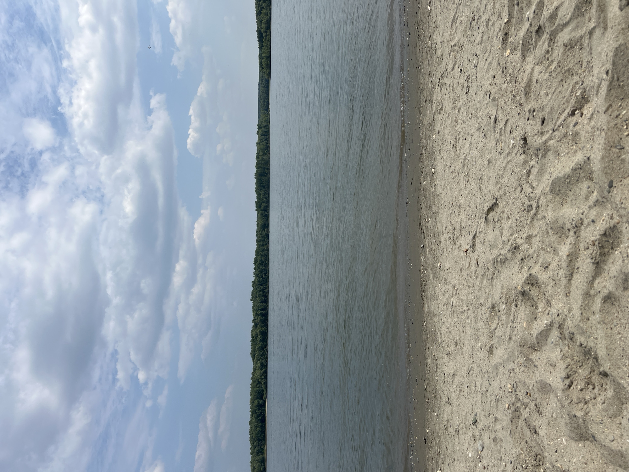 The image depicts a serene natural landscape. In the foreground, there is a sandy beach with small pebbles scattered across it, and some footprints are visible. The sand appears dry and a lighter shade of brown. Beyond the beach lies a calm body of water, likely a river or lake, with gentle ripples on its surface. The water is a murky blue-grey. In the background, a dense line of green trees forms a treeline, suggesting a forest or a heavily wooded area. Above the treeline, the sky is a pale blue, dotted with scattered white clouds. The clouds are varied in size and shape, with some appearing fluffy and others more wispy. The overall scene is one of natural tranquility, with no human presence immediately apparent. The location is identified as Mochishche, Russia.