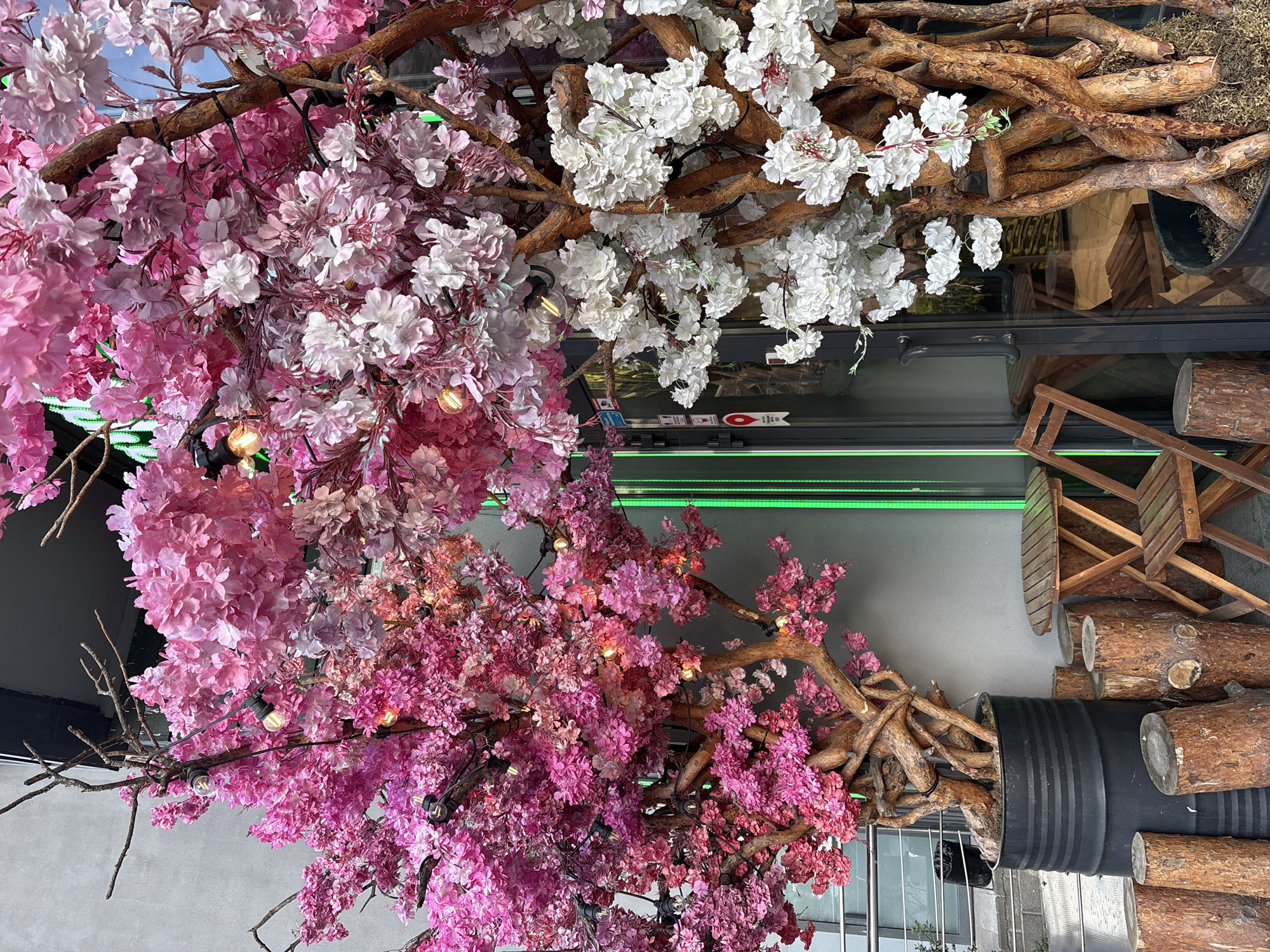 The image depicts a street-level view of a building facade with two large artificial trees adorned with pink and white blossoms. The trees are positioned in large black planters, with one tree on the left and another on the right. The tree on the left has a dense canopy of pink flowers, while the tree on the right features white blossoms. Both trees have gnarled, brown trunks and branches with exposed root-like structures. String lights with exposed bulbs are woven through the branches of both trees, some of which are illuminated.
In front of the trees, to the left, is a large black cylindrical planter. To the right of this planter, several rough-hewn logs of varying sizes are arranged in a cluster. Further to the right, a small wooden table with a slatted top and a folding wooden chair are placed. Behind these elements, a glass door with a metal handle is visible, leading into the building. A vertical green light fixture is mounted on the building next to the door. The ground in front of the planter and logs is paved. The background consists of a building facade with a gray, textured wall. The overall scene suggests an outdoor seating area or decorative entrance to a business.