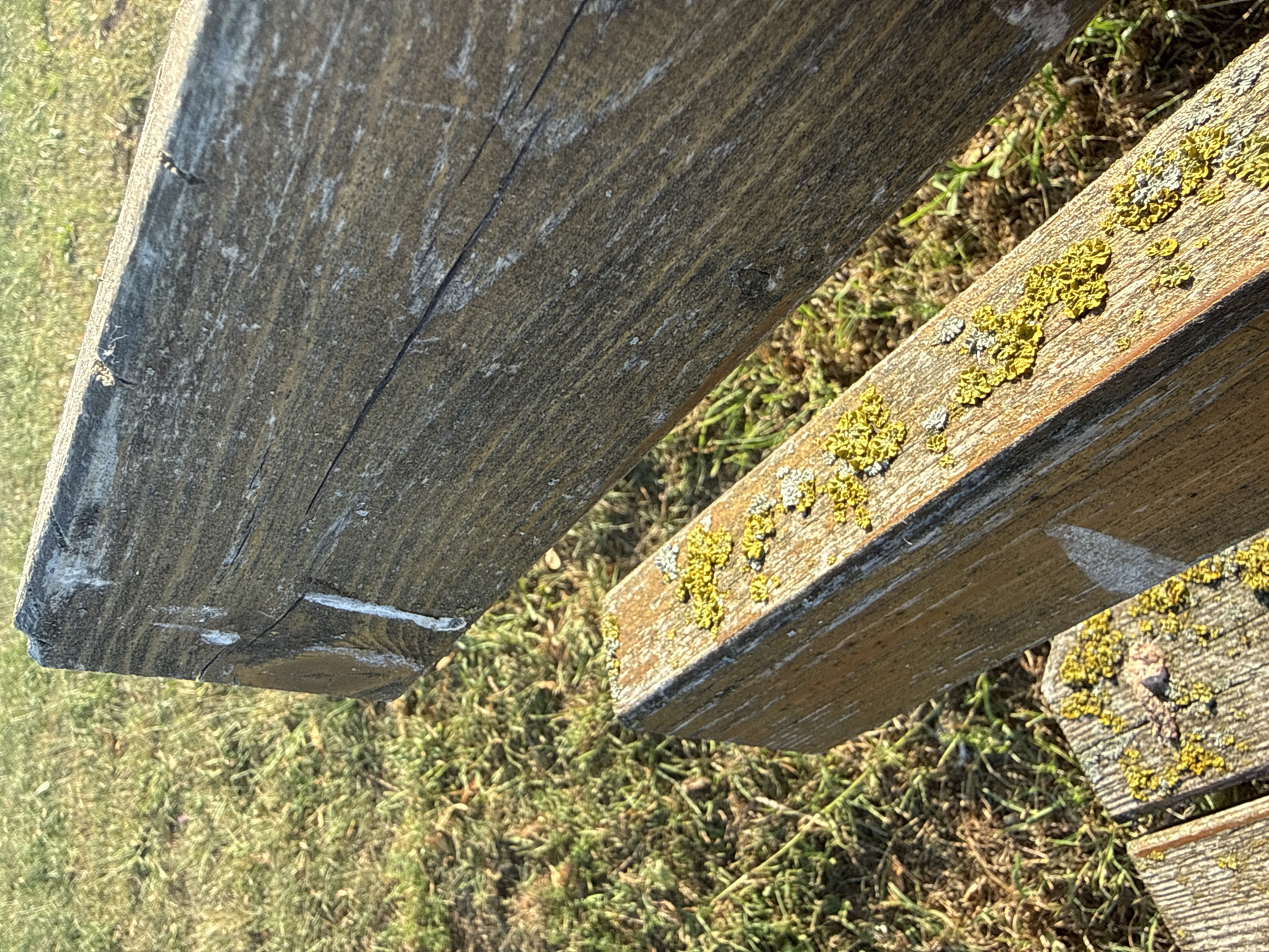 The image is a close-up shot of a weathered wooden park bench outdoors, with grass visible in the background. The bench's wooden slats exhibit signs of age and exposure to the elements, including cracks, a rough texture, and patches of green and yellow lichen. White bird droppings are visible on the upper slat. The lighting suggests it is daytime, with sunlight casting shadows. The setting appears to be a park or grassy area in Rimsting, Germany. There are no people or animals depicted in the image.