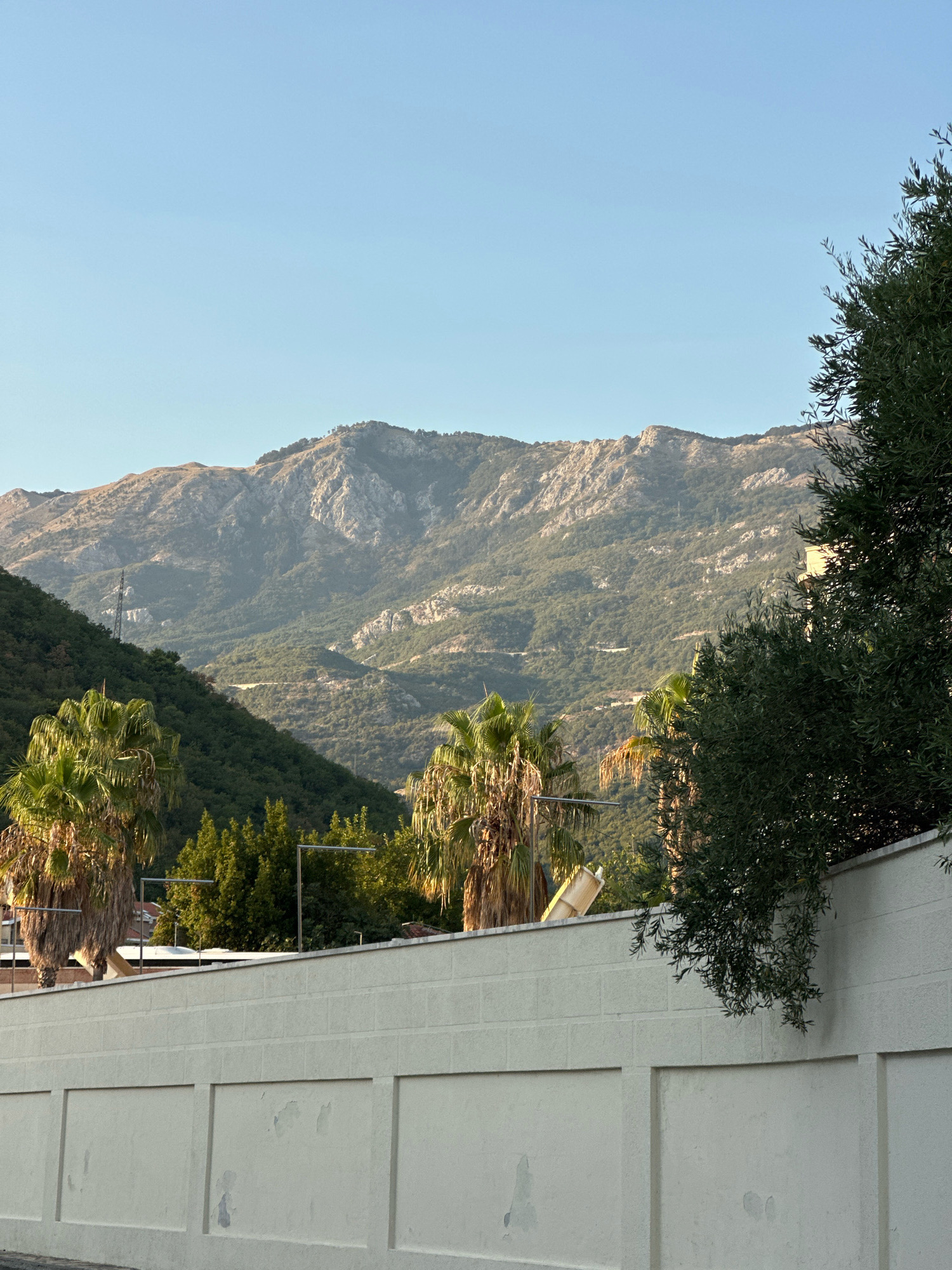 The image shows a view of mountains from Boreti, Montenegro. The foreground features a white, textured wall with rectangular indentations. To the left of the wall, palm trees with dried fronds are visible, interspersed with evergreen trees. In the background, lush green hills rise to meet rugged, rocky mountains under a clear blue sky. A winding road can be seen snaking up one of the hillsides. An olive tree with dark green leaves hangs over the wall on the right side of the frame.