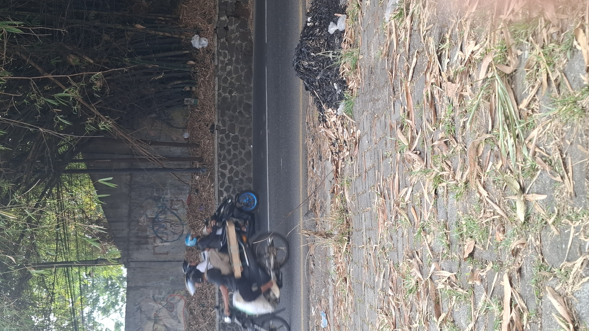 In Cilaku, Indonesia, two individuals are seen riding motorcycles on a paved road. The motorcycle in the foreground is ridden by a person wearing dark clothing, carrying a light-colored bag in front and what appears to be a wooden plank or crate on the back. Behind them, another individual on a motorcycle, wearing a blue helmet and dark clothing, is also visible. The road is bordered by a stone wall covered in graffiti, with a dense bamboo forest behind it. To the right of the road, a pile of dark, burnt debris, possibly from dry leaves or plant matter, lies on the ground, mixed with some white plastic bags. The ground in the foreground is paved with interlocking bricks and covered with dry leaves and sparse green grass. Overhead, power lines are visible crisscrossing through the bamboo canopy.