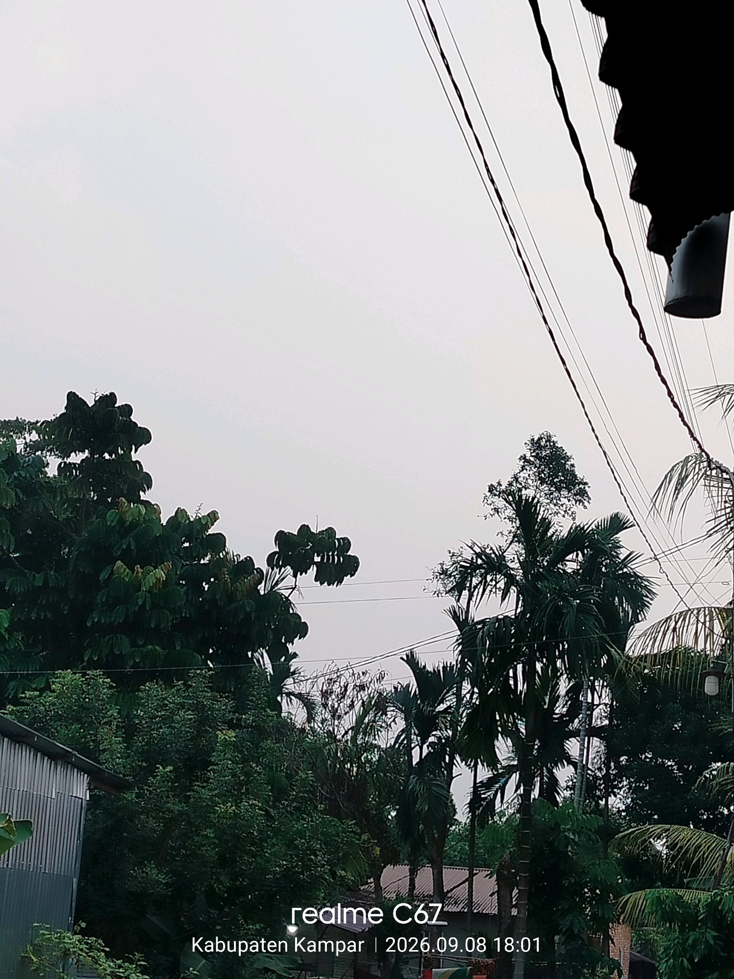 A low-angle outdoor medium shot captures a dimly lit scene dominated by a large tree canopy and electrical wires against an overcast sky. The foliage is dense and green, with some lighter green leaves interspersed. The overall atmosphere is hazy. In the lower left, a corrugated metal building is partially visible. Towards the bottom center of the frame, the text "realme C67" is overlaid, followed by "Kabupaten Kampar | 2026.09.08 18:01".