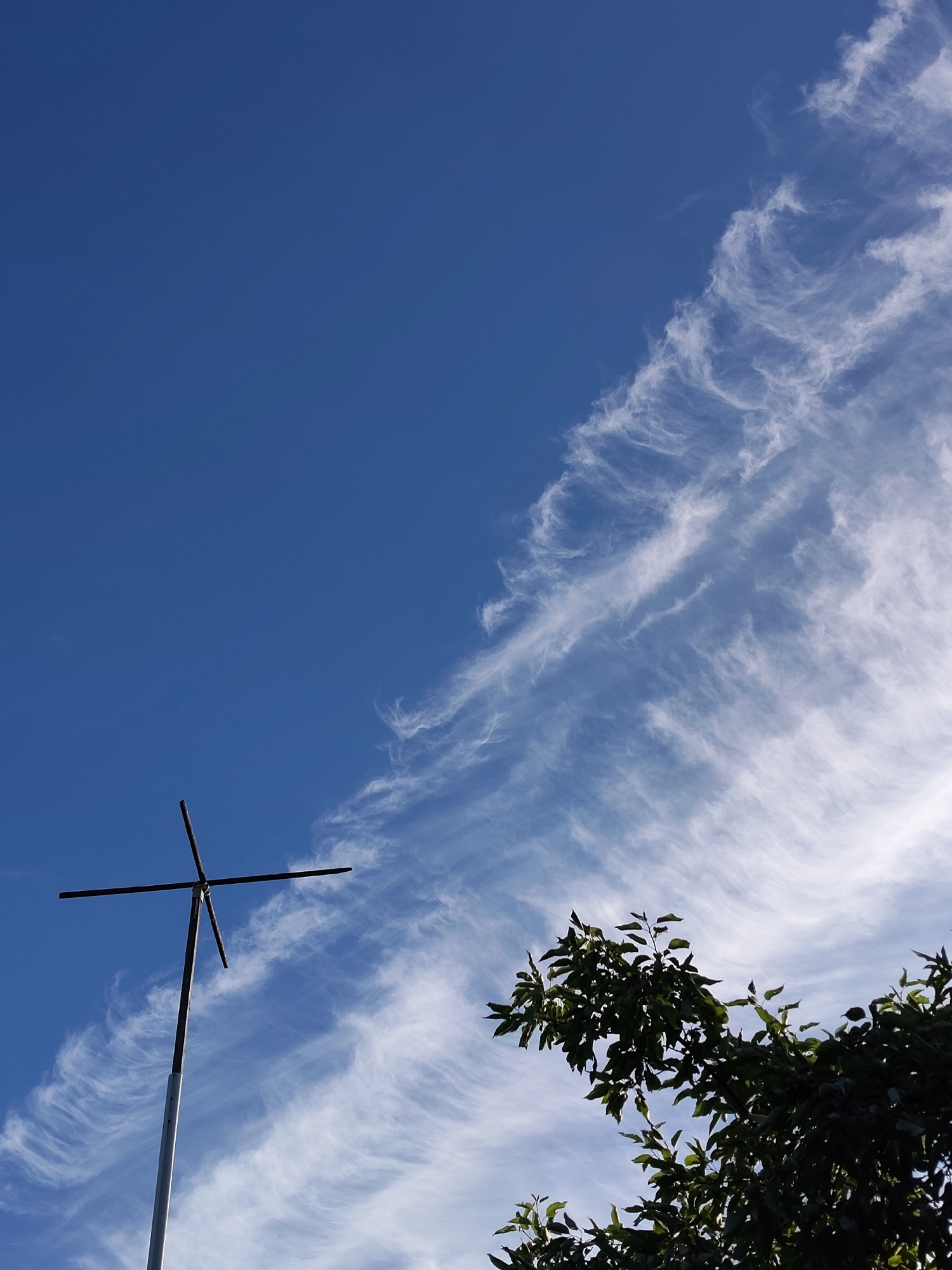 The image shows a clear blue sky with wispy white clouds on the right side. In the lower left quadrant, a tall, slender pole supports a dark, cross-shaped antenna. The bottom right corner of the image is filled with the dark silhouette of tree branches and leaves. The scene is outdoors and appears to be during daylight hours. The location is specified as Venyukovo, Russia.