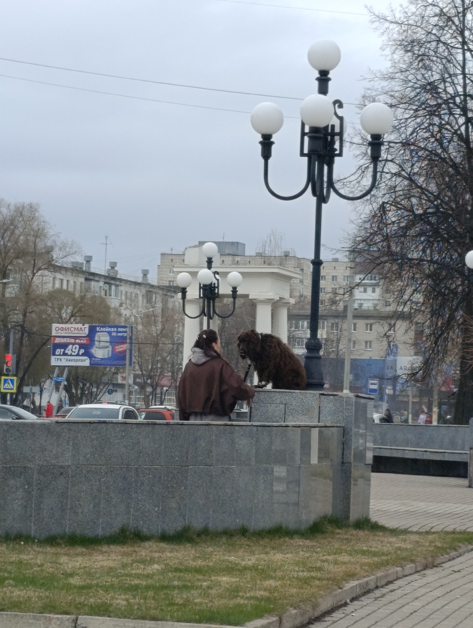 The photo was taken in Chaikovsky, Russia. A light-skinned female with dark hair pulled back into a low ponytail is sitting with a large, dark brown shaggy dog. They are situated on top of a grey granite wall next to a tall black lamp post, with white globe-shaped bulbs. The woman is wearing a brown jacket or sweater. The dog is facing the woman. Behind the lamp post is an archway with white columns. In the background are several buildings and trees without leaves. There is a large blue and white sign that reads "ОФИСМАТ" and "от 49 Р". In the foreground is a strip of grass and a paved walkway. There are a few cars on the road. The sky is overcast and gray.