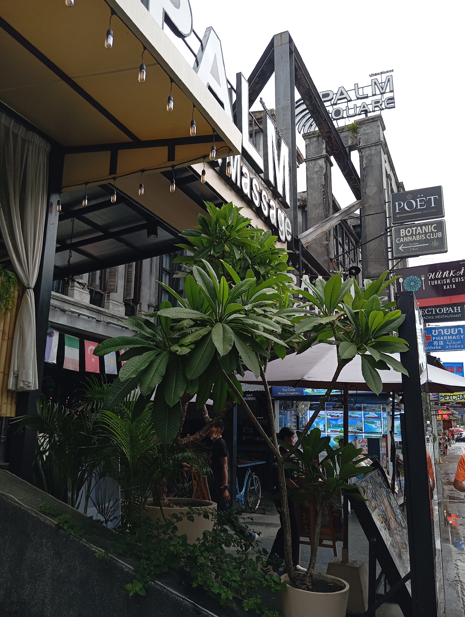 The image depicts a street scene in Karon, Thailand, likely in the evening or on an overcast day, as indicated by the lighting and the slightly wet street. The foreground is dominated by lush green foliage and potted plants, suggesting a tropical setting. A grey, sloped concrete structure runs along the bottom left of the image, with small green vines growing over it.
Behind the plants, a building with a prominent awning and string lights is visible. The awning is a light yellow color, supported by dark structural elements. A white curtain hangs on the left side of the awning. Further back, several flags are displayed horizontally on poles, including what appears to be a Turkish flag with a crescent moon and star.
Above the awning, a large sign with the word "PALM" in large, blocky white letters is mounted on a metal structure. Below "PALM" is another sign that reads "SQUARE". To the right of this, there are several smaller signs on a black pole. One reads "POËT" with "2ND FLOOR" underneath. Another sign below it indicates "BOTANIC CANNABIS CLUB" with an arrow pointing to the right and "2 floor" beneath. Further down the pole, a sign for "HUNKÂ TURKISH CUISINE KATA" is visible, followed by signs in what appears to be Thai script.
In the middle ground, people are present. One individual in a black t-shirt is visible walking near a blue bicycle. Another person, wearing a black shirt and pants, is seen from the side near a potted plant and a display board. Further down the street, a person in an orange shirt is walking away from the camera.
The street itself appears to be wet, reflecting the ambient light, suggesting recent rain or a wet cleaning process. Various shops and businesses line the street, indicated by the signs and displays. One display features images of boats and water, possibly advertising tours or attractions. The overall impression is a commercial area with a mix of businesses, interspersed with greenery, and hints of a vibrant nightlife or tourist district.