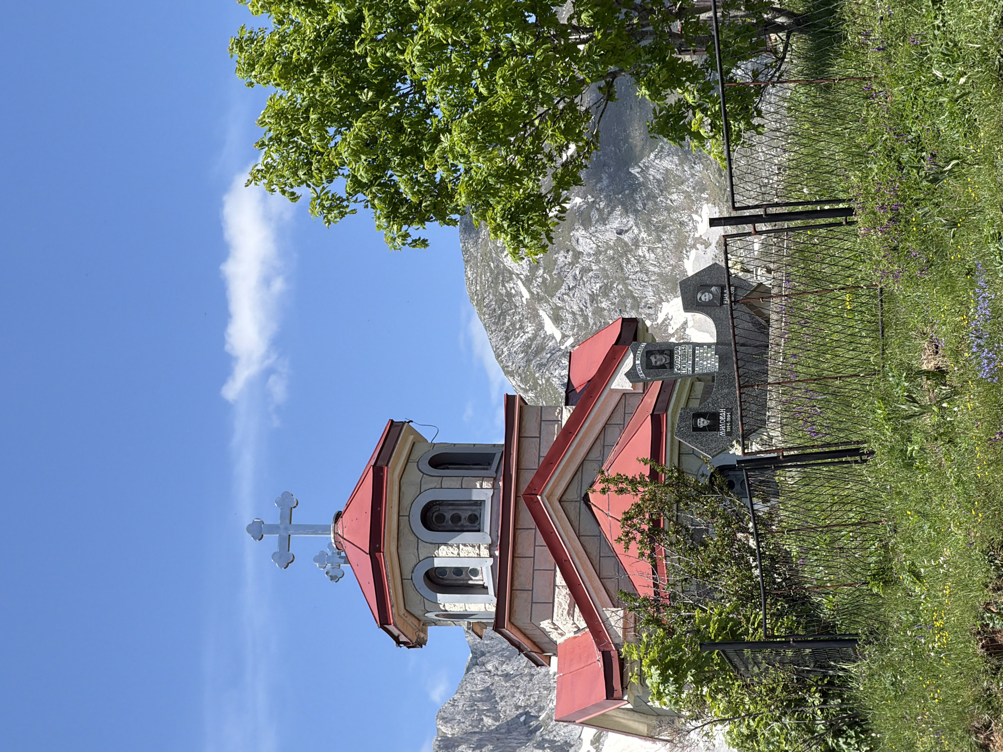 The image displays a clear daytime scene in Javorje, Montenegro, featuring a stone Orthodox church, a small cemetery, and rugged mountains. The church, positioned on the left, has light-colored stone walls and multi-tiered red roofs, possibly metal. Its octagonal bell tower is topped with a prominent silver-colored Orthodox cross and a smaller cross behind it, with arched windows.
Immediately to the right of the church, a cemetery contains several dark-colored gravestones. At least two gravestones are clearly visible: one featuring a black and white photograph of a man with Cyrillic text "ГОЛУБА СИМЕОНОВКА" and dates, and another with a photograph of a woman, displaying "МИЛОВАН 1924-1994".
A dark, weathered metal fence with a diamond-patterned mesh runs across the mid-ground, separating the foreground from the church and cemetery. The foreground consists of vibrant green grass intermixed with various wild flowers, including yellow, purple, and white blooms.
On the far right, a large deciduous tree with dense, bright green foliage extends from the mid-frame upwards, partially obscuring the mountains behind it.
The background is dominated by large, rocky, greyish-white mountains with visible patches of snow on their slopes, suggesting a high elevation. The sky is bright blue with a few scattered, wispy white clouds. No people are present, and no actions are depicted.