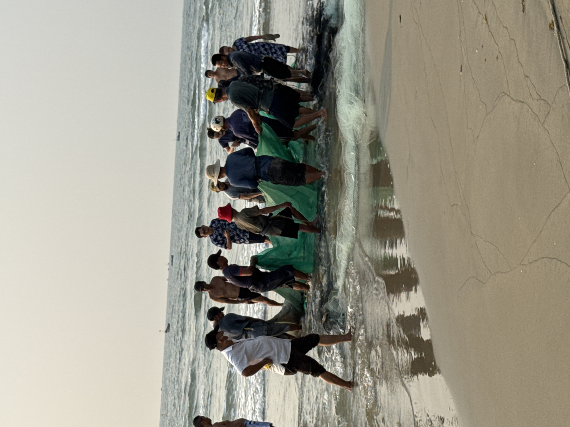 A group of people are standing in the water, pulling a large fishing net onto the shore. The scene is likely in Đà Nẵng, Vietnam, based on the geography and activity depicted. The people are working together, pulling the net from the sea to the beach. The beach is sandy, and the water is visible.